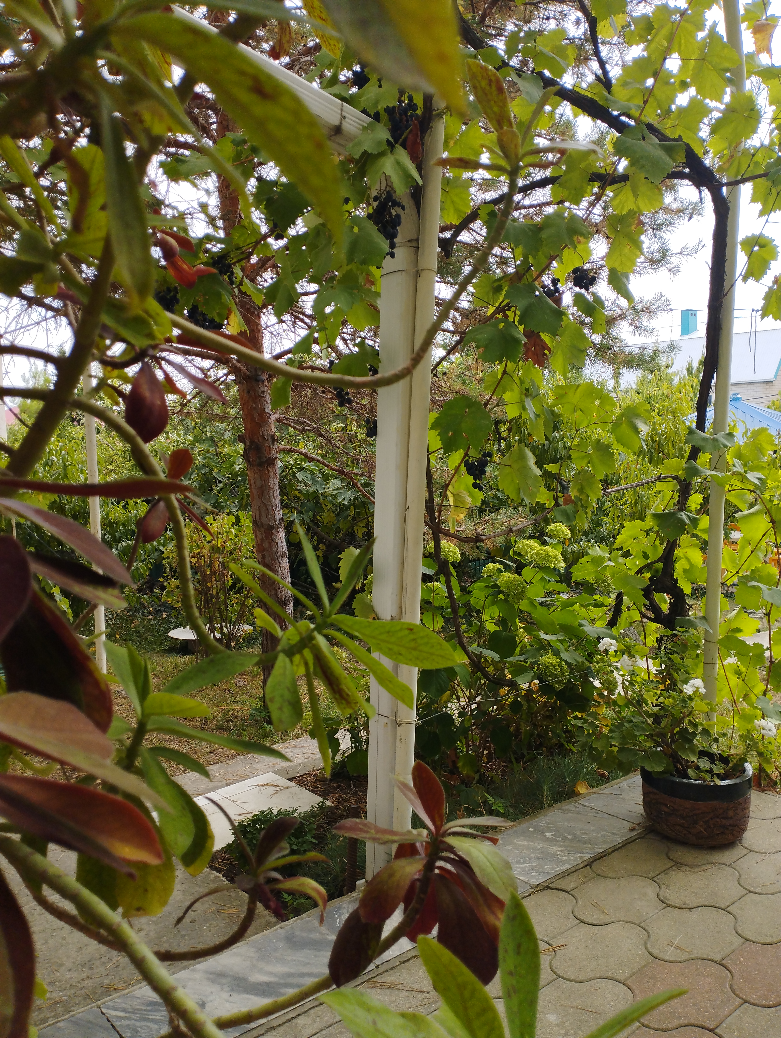 Фото Голубая бухта