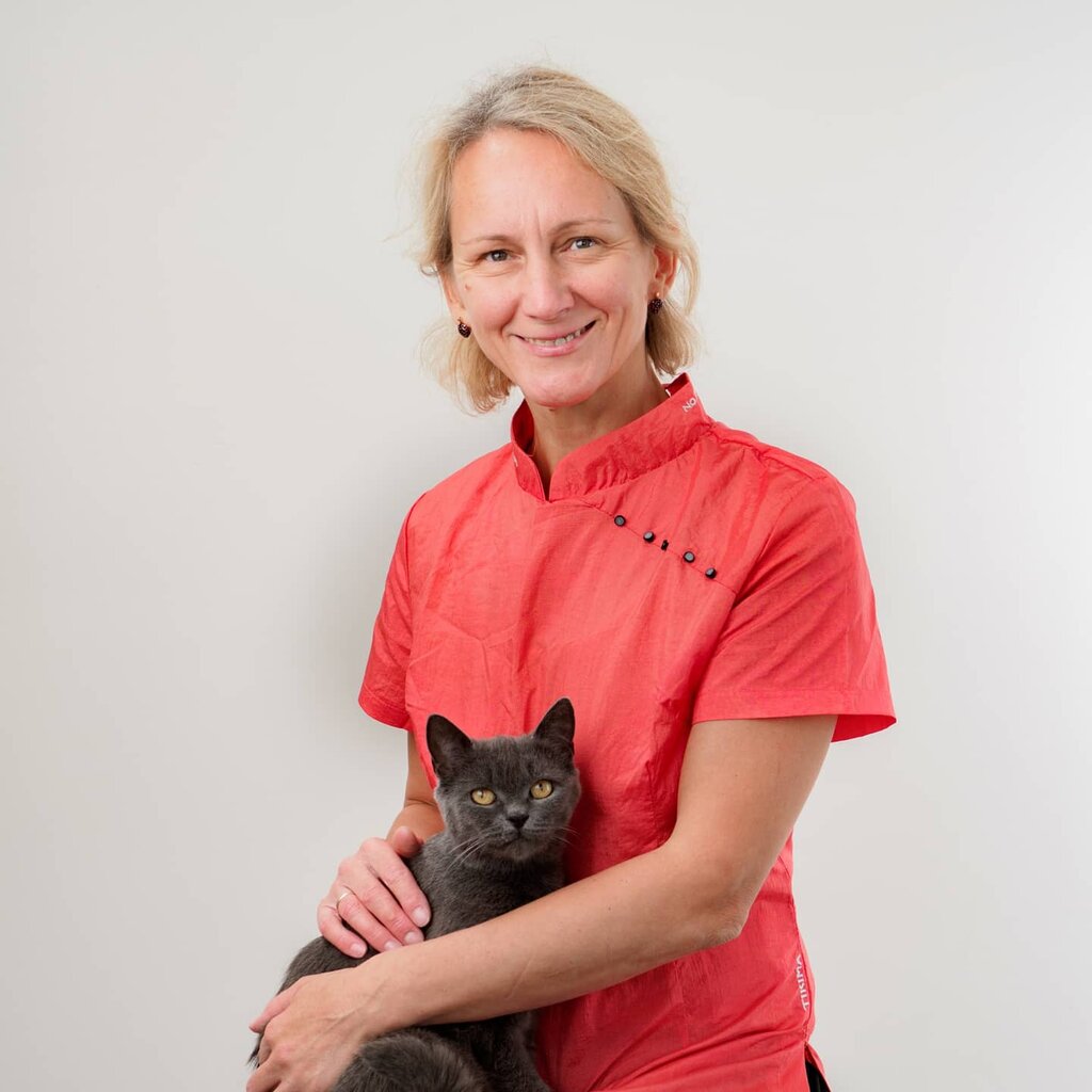 Pet salon Grooming Studio, Smolensk, photo