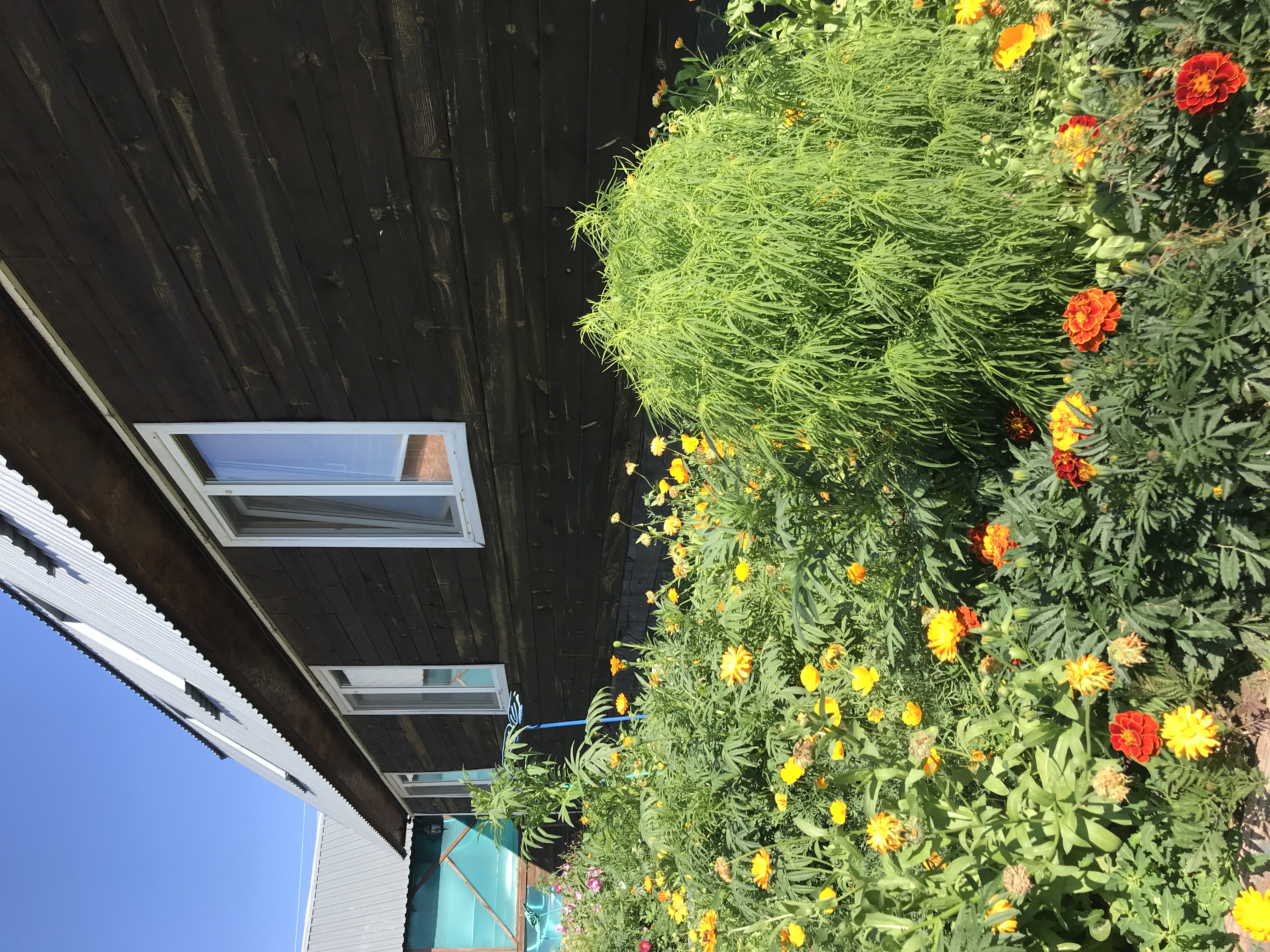 Фото Катрин