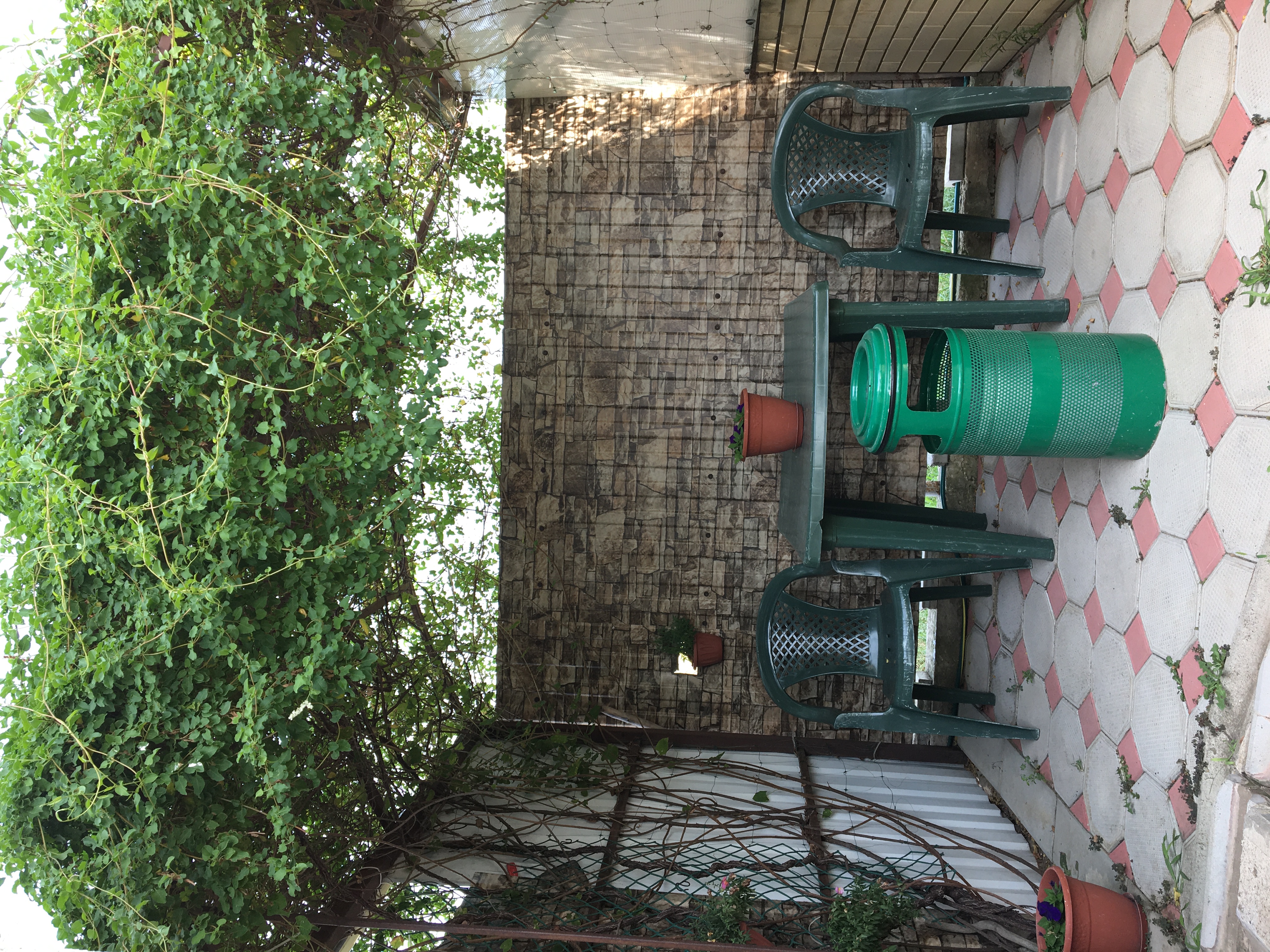 Фото Сафари