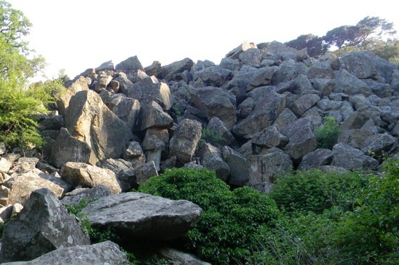 Фото Дом в парке