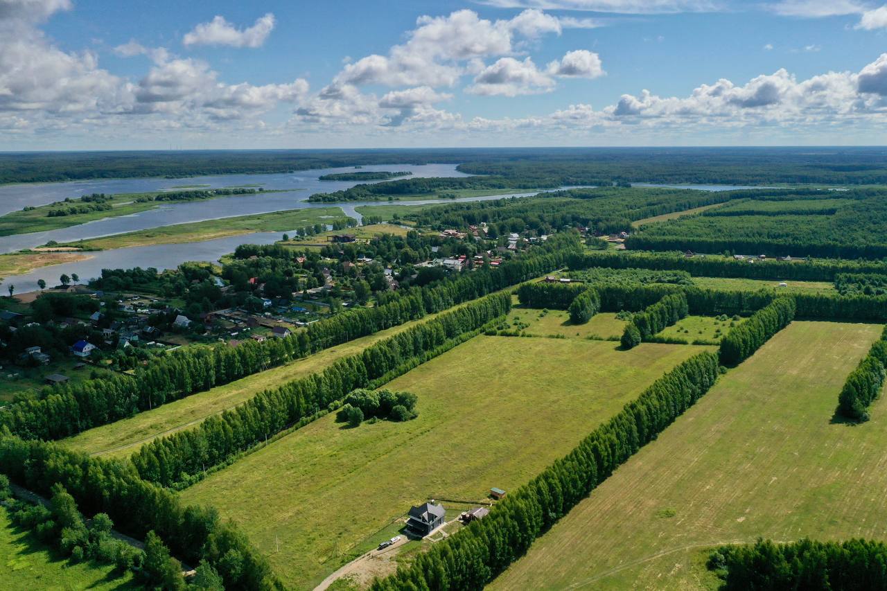 Фото The Поле