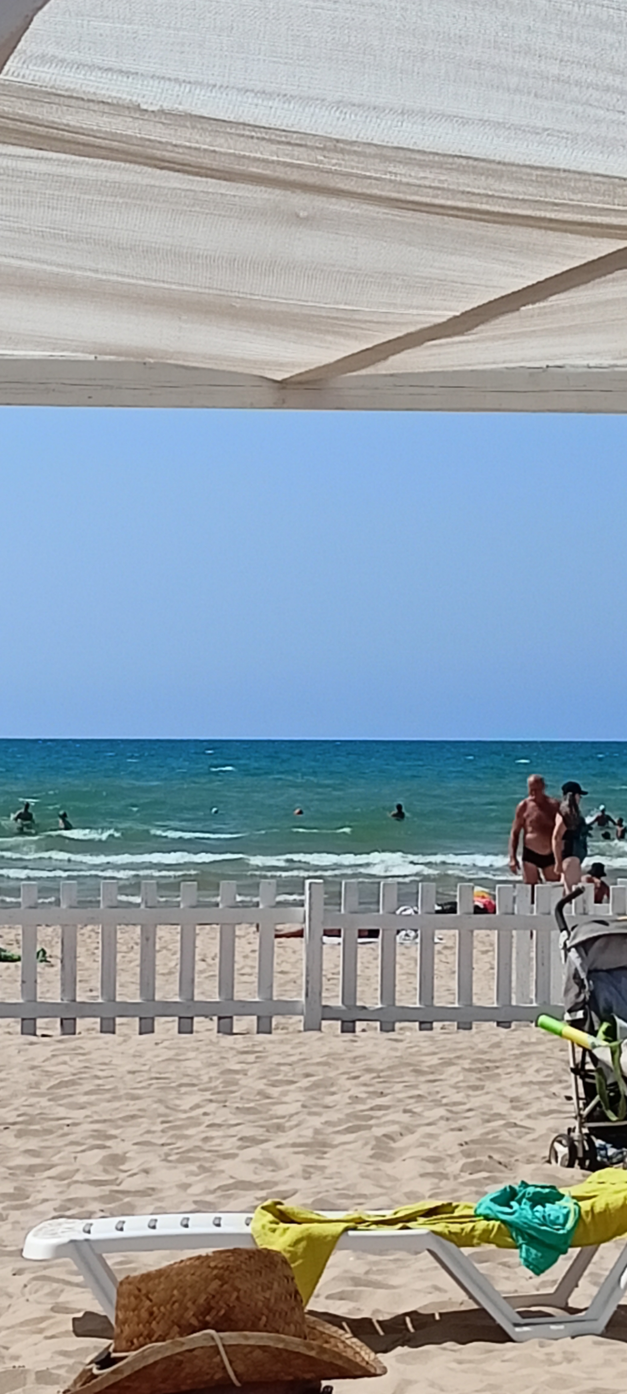 Фото Анести