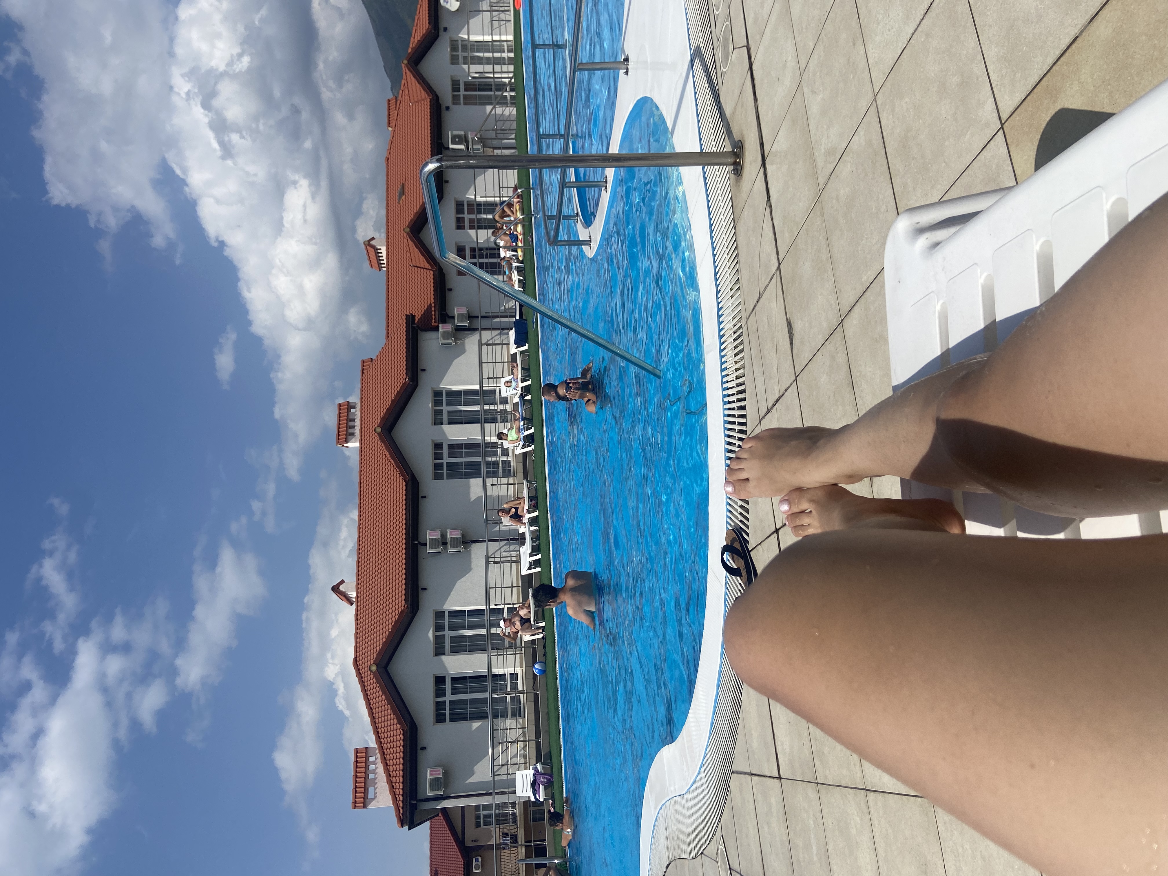 Фото Кедровая роща