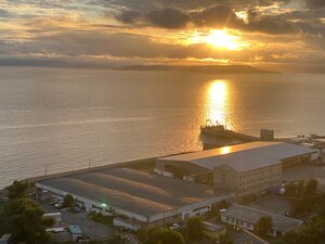 Bay Garden