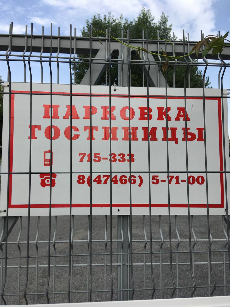 Фото Пушкарская