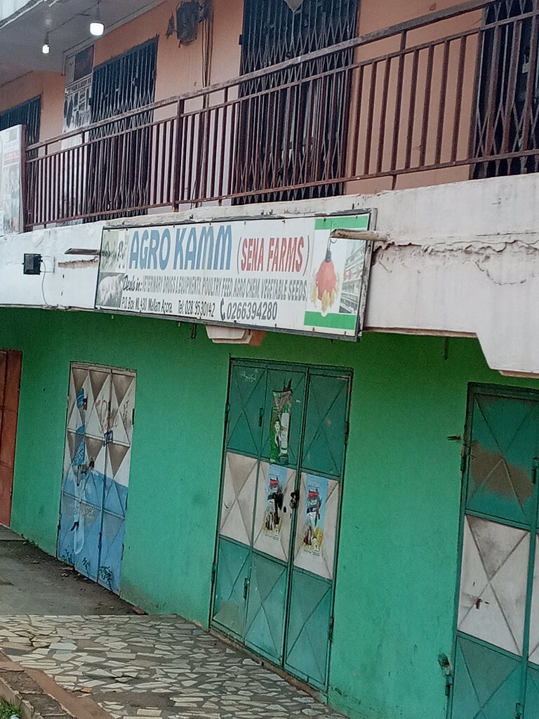Agricultural enterprise Agro Kamm farms, Accra, photo