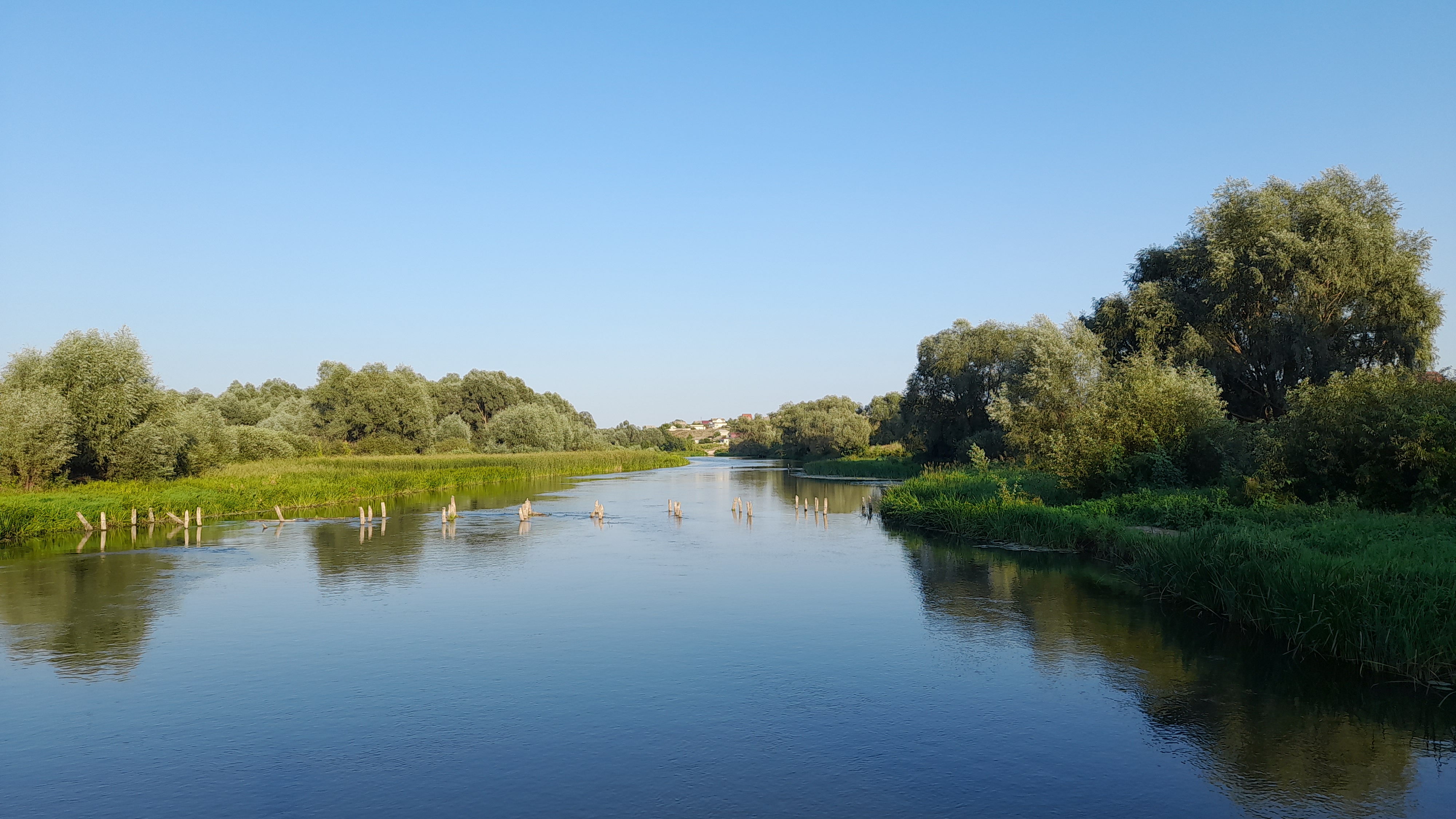 Фото Васькины Домики