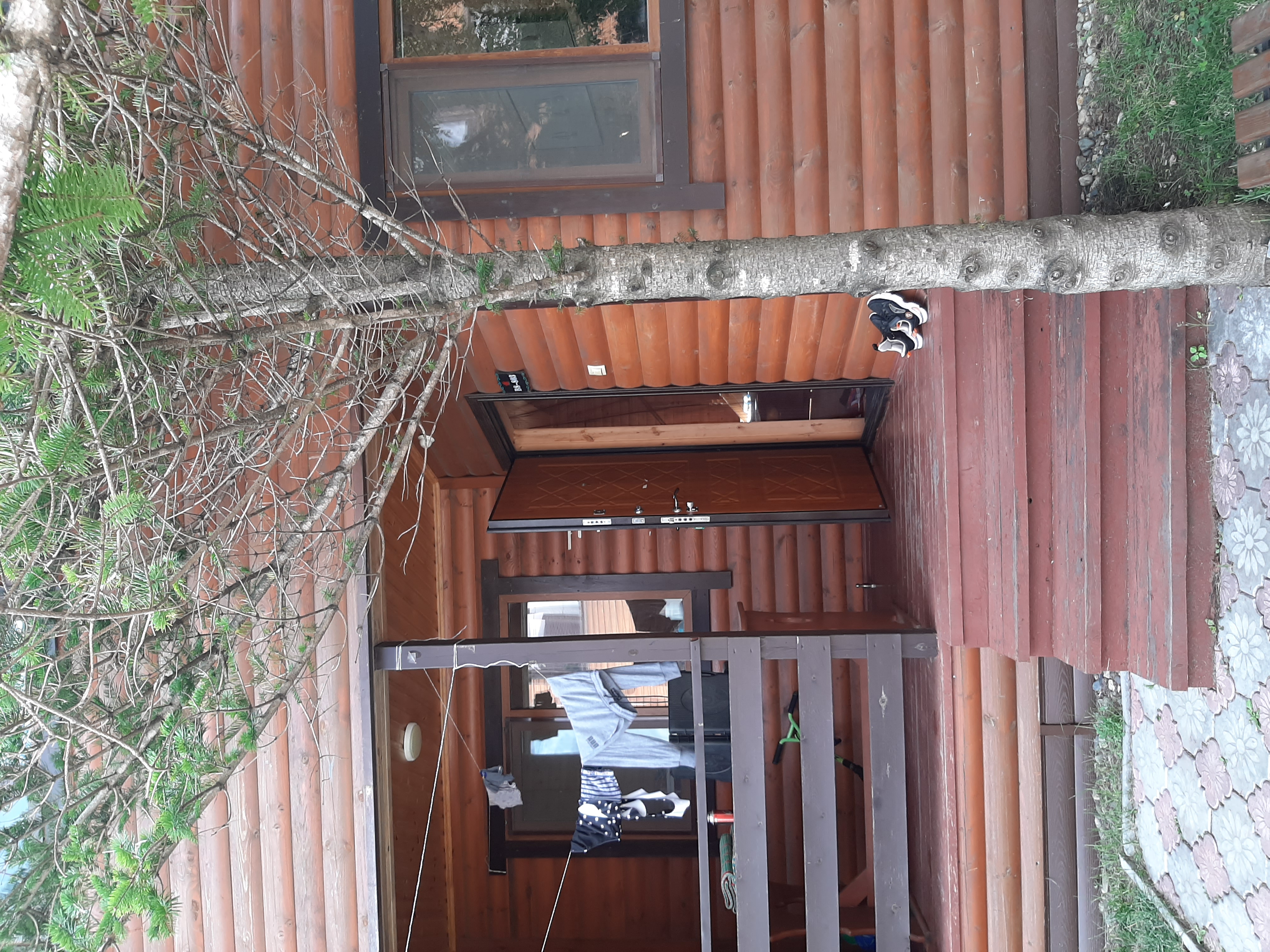 Фото Алые паруса