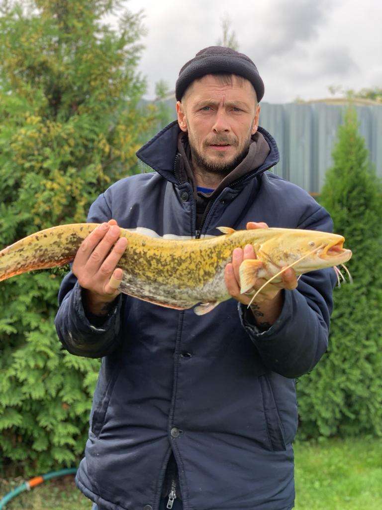 Фото Дом в Дракино