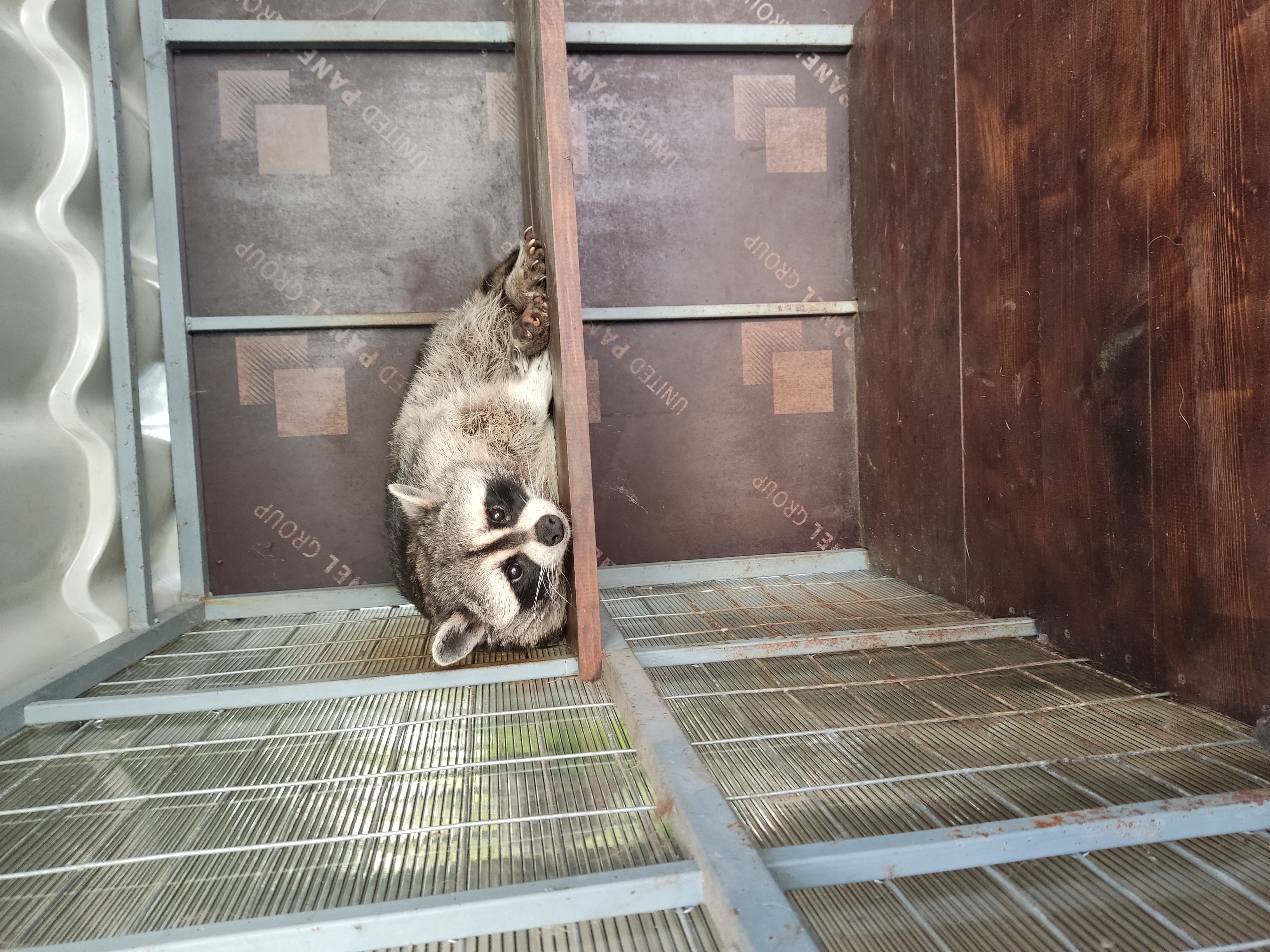 Фото Виктория