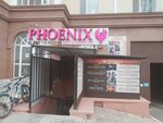 Phoenix (Rakhimzhan Koshkarbayev Avenue, 25), children's developmental center