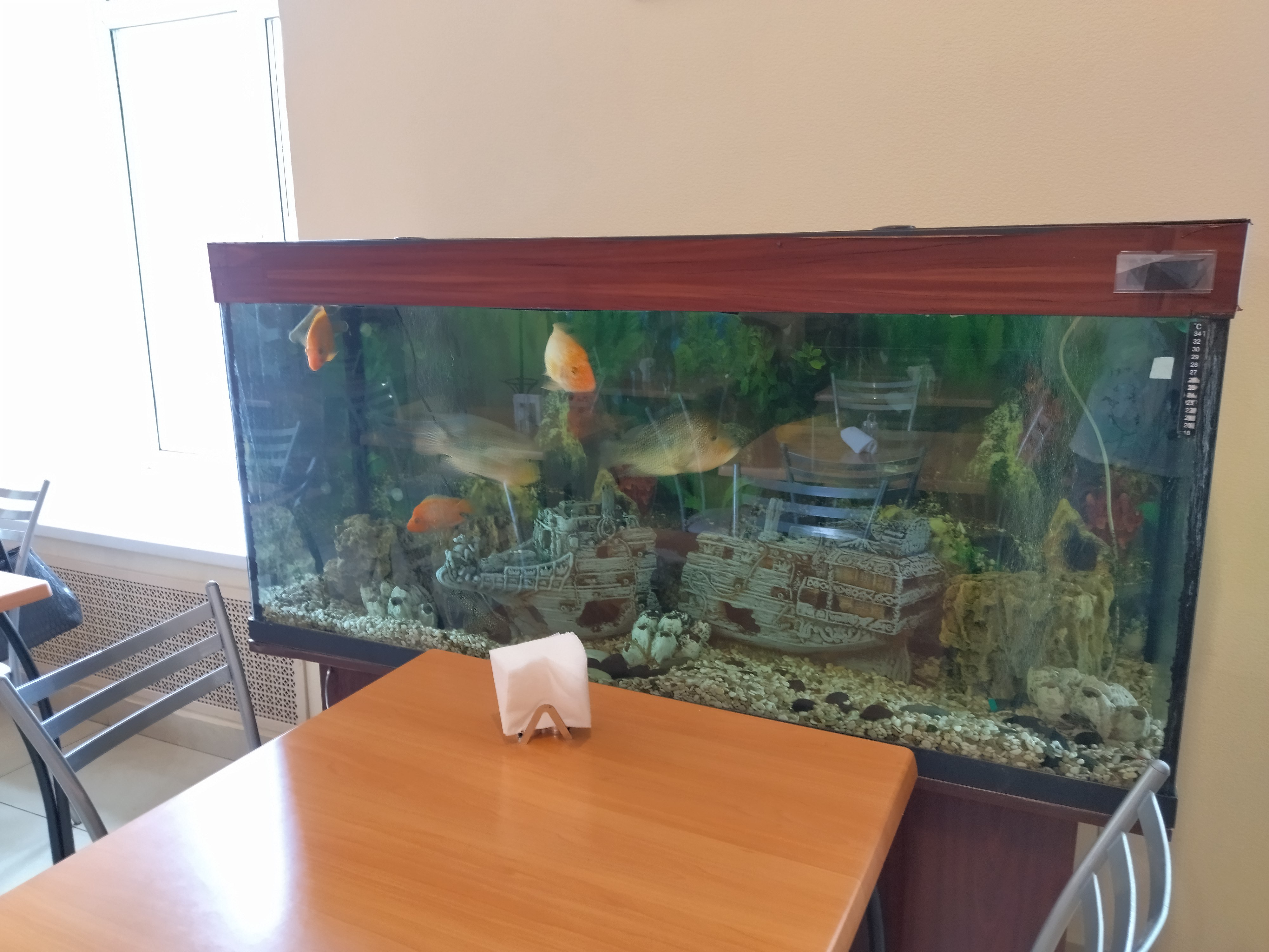 Фото Изумруд Юг