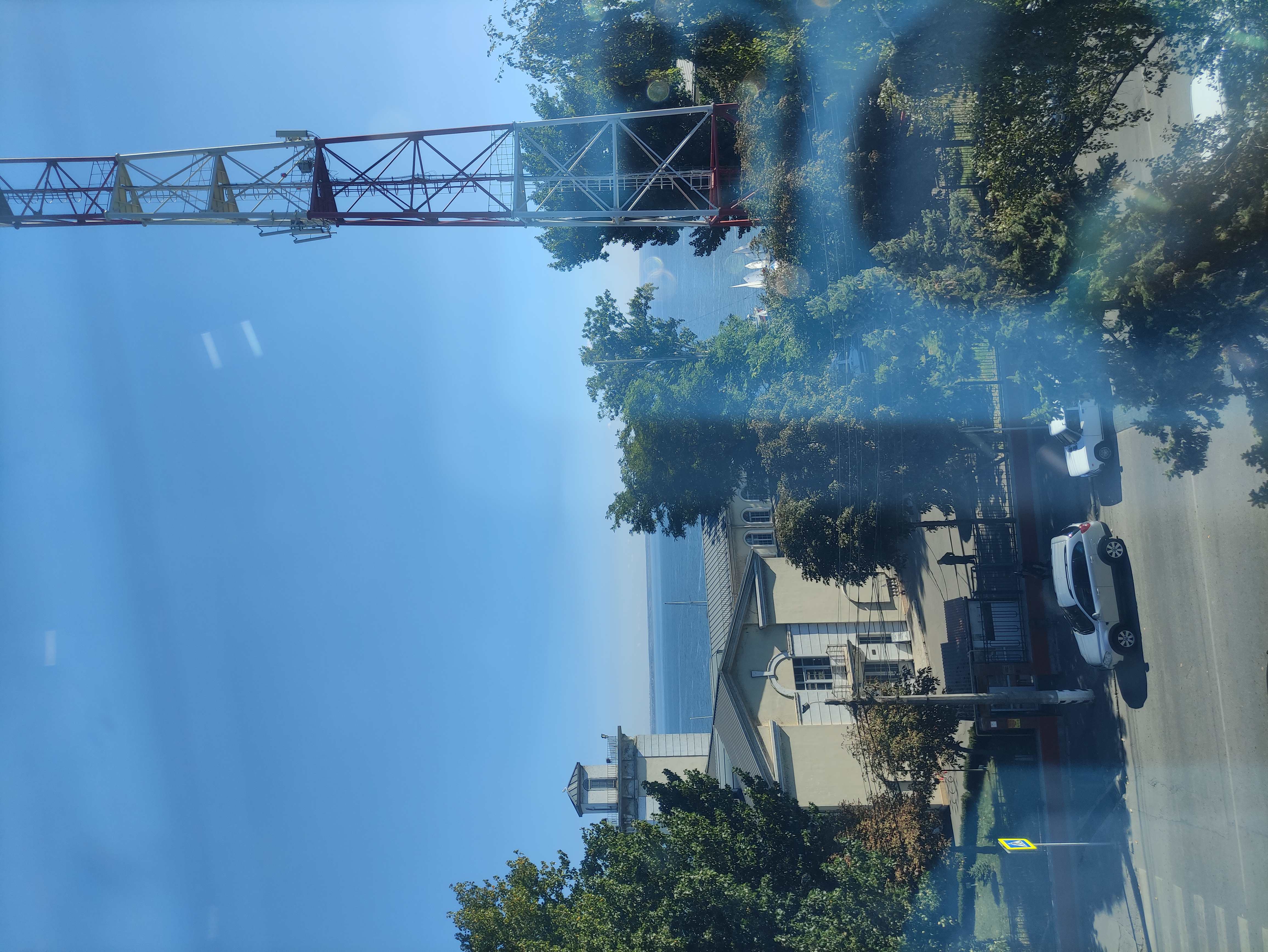 Фото Темиринда