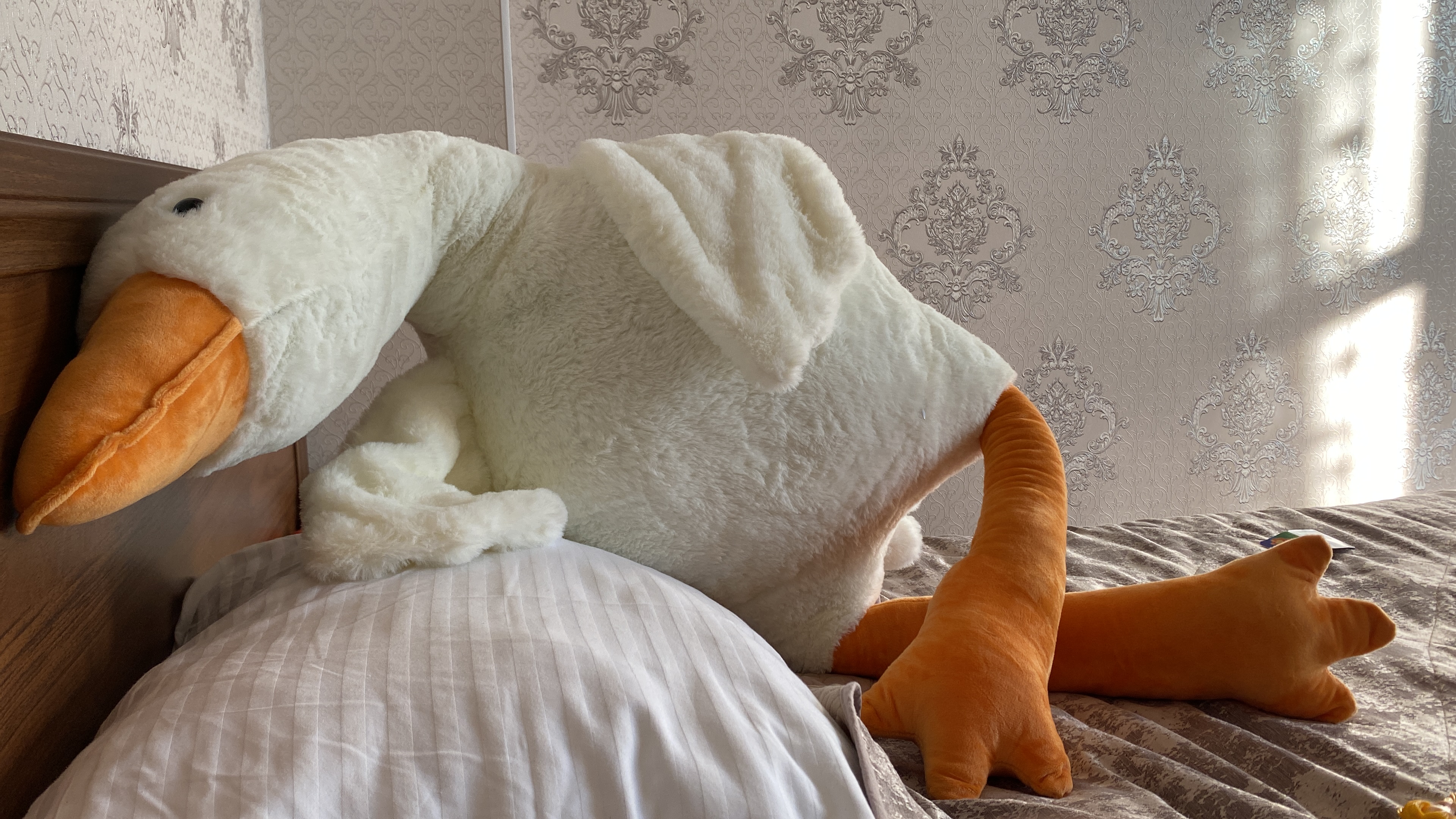 Фото Селини