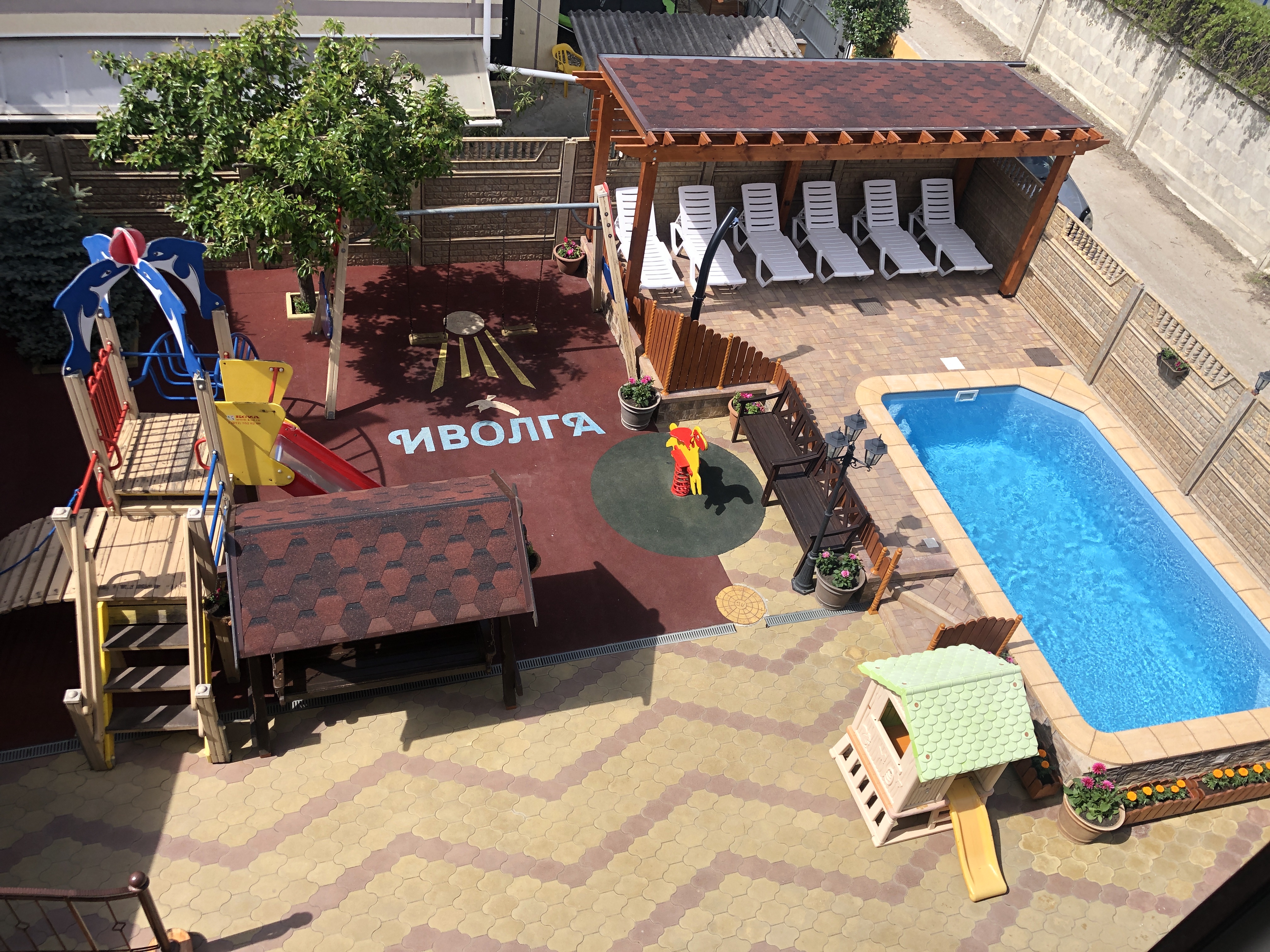 Фото Иволга