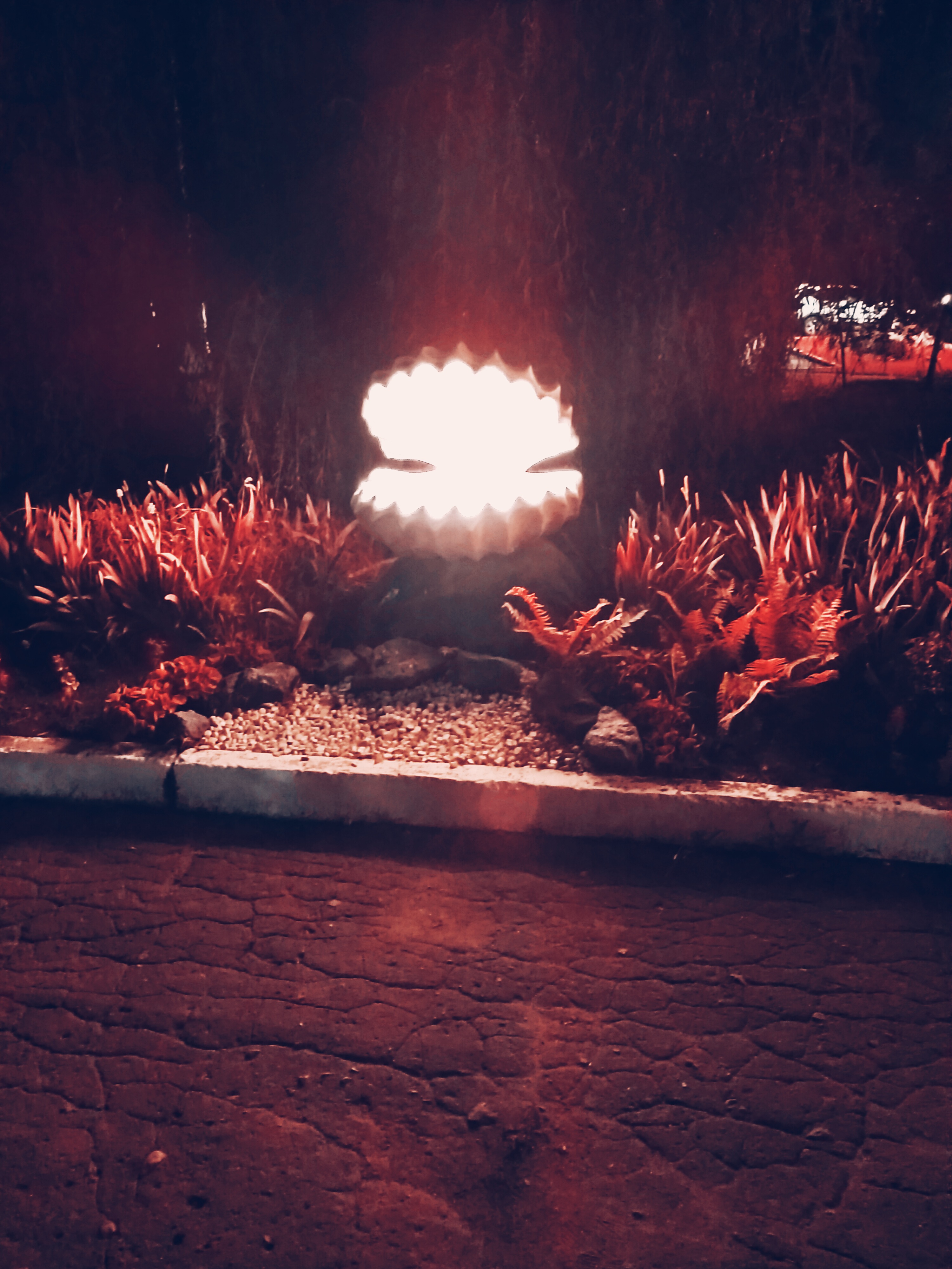 Фото Лесная жемчужина