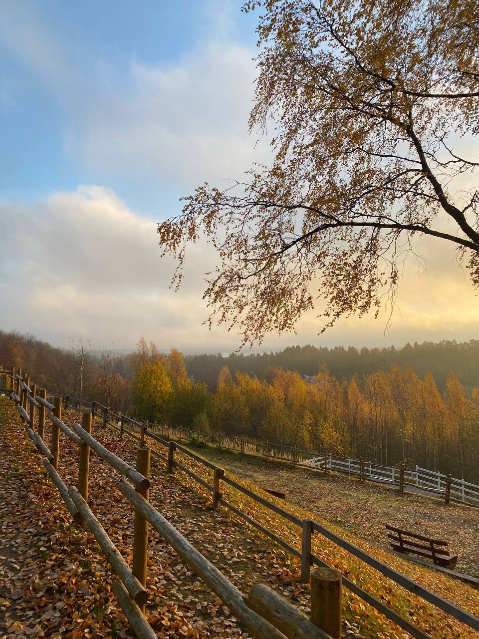 Фото Усадьба Пан Фазан