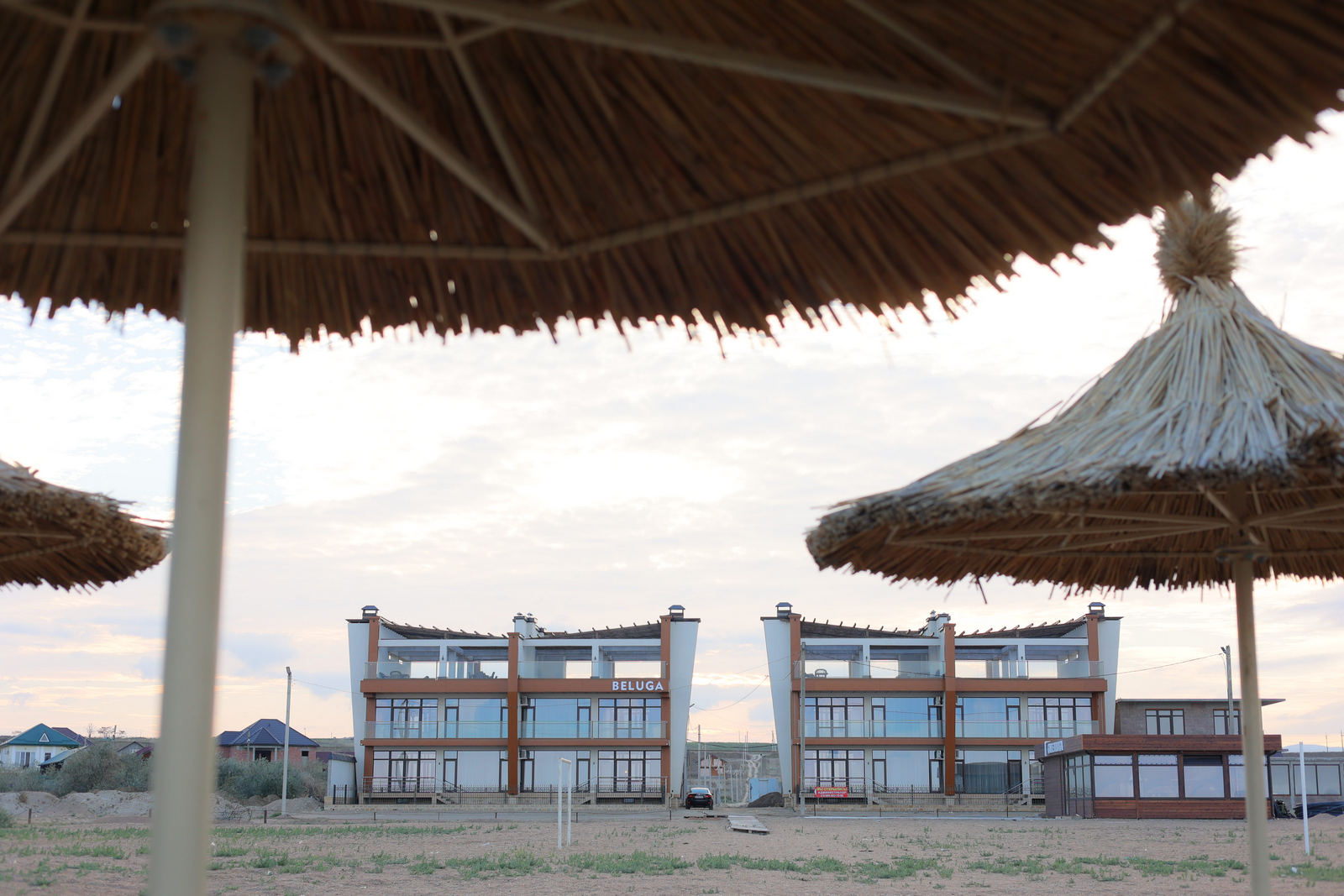 Фото Белуга