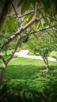 Фото Refugio de Santiago Ecolodge