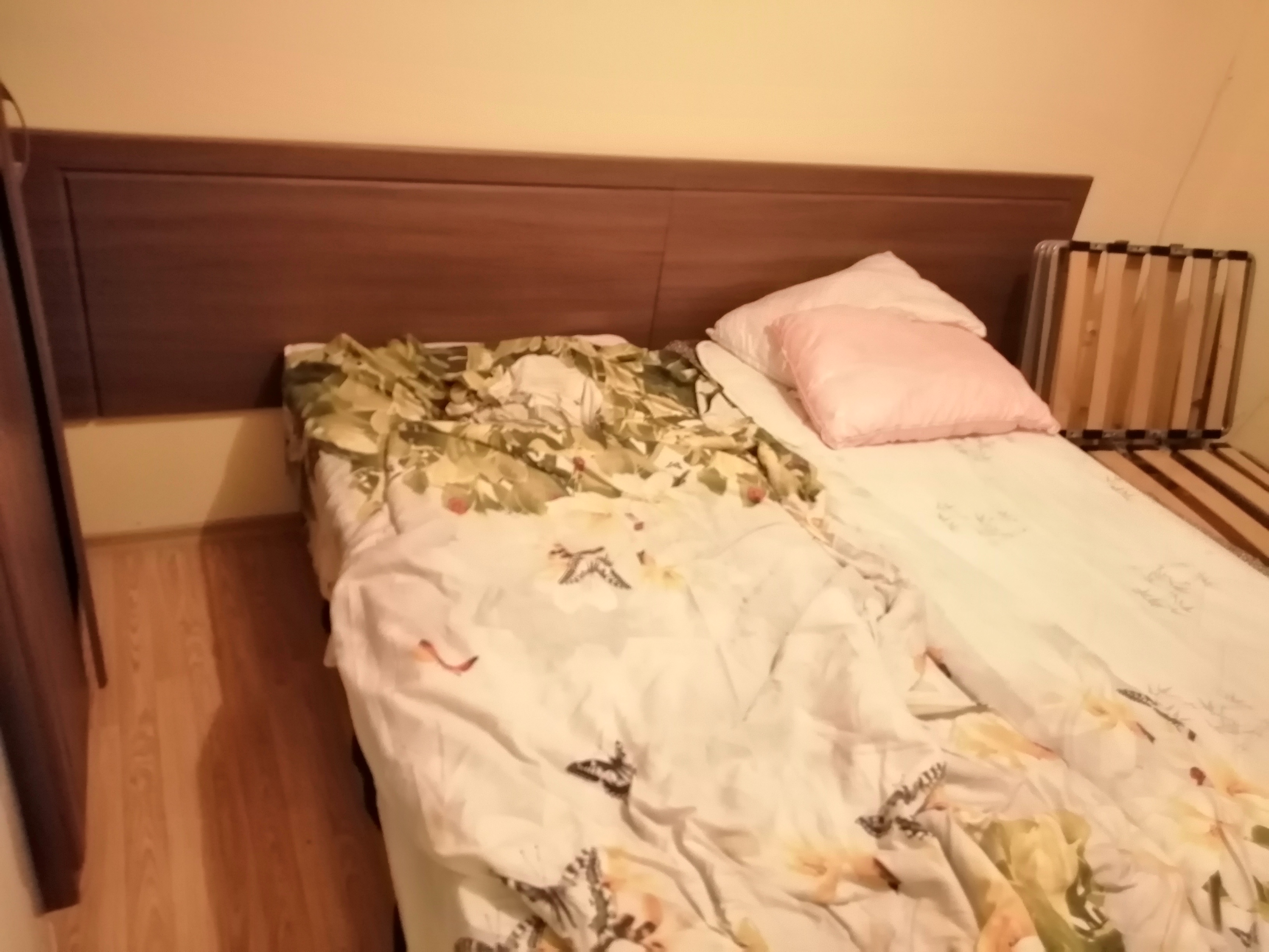 Фото Алеандр