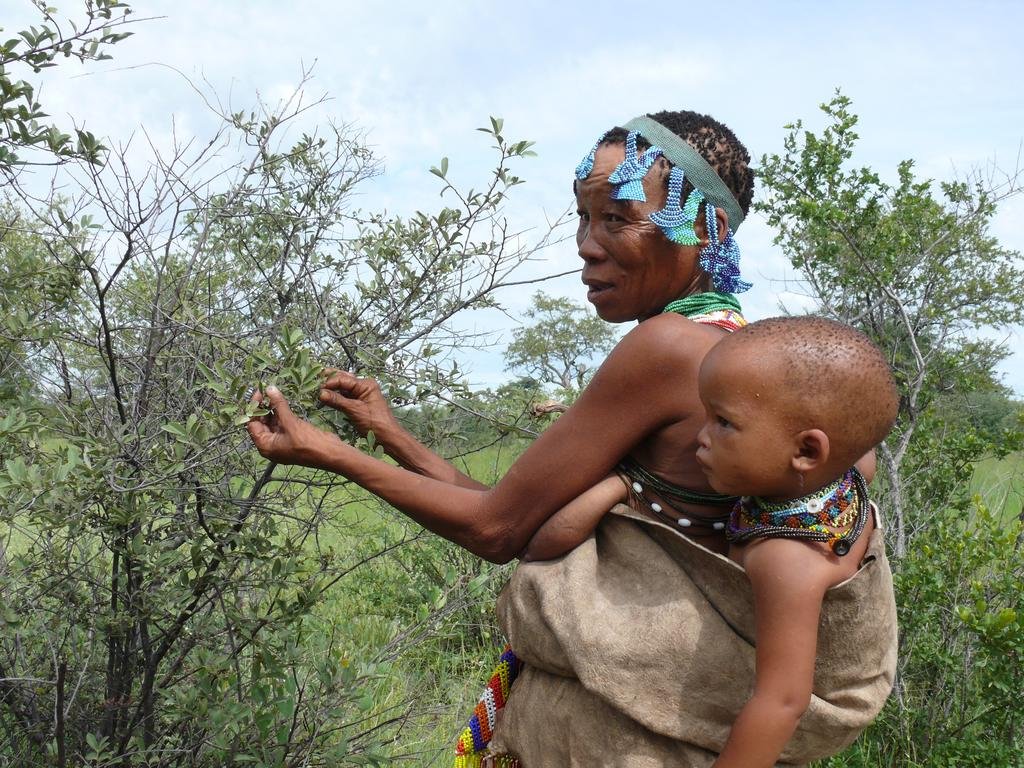 Фото Tsumkwe Country Lodge