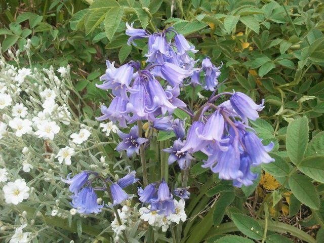 Фото 45111210292