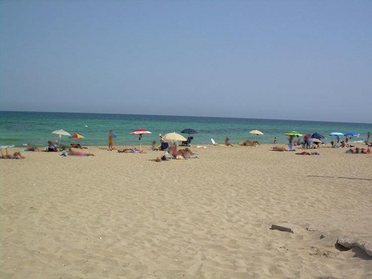 Фото B&b Villa il Sughero