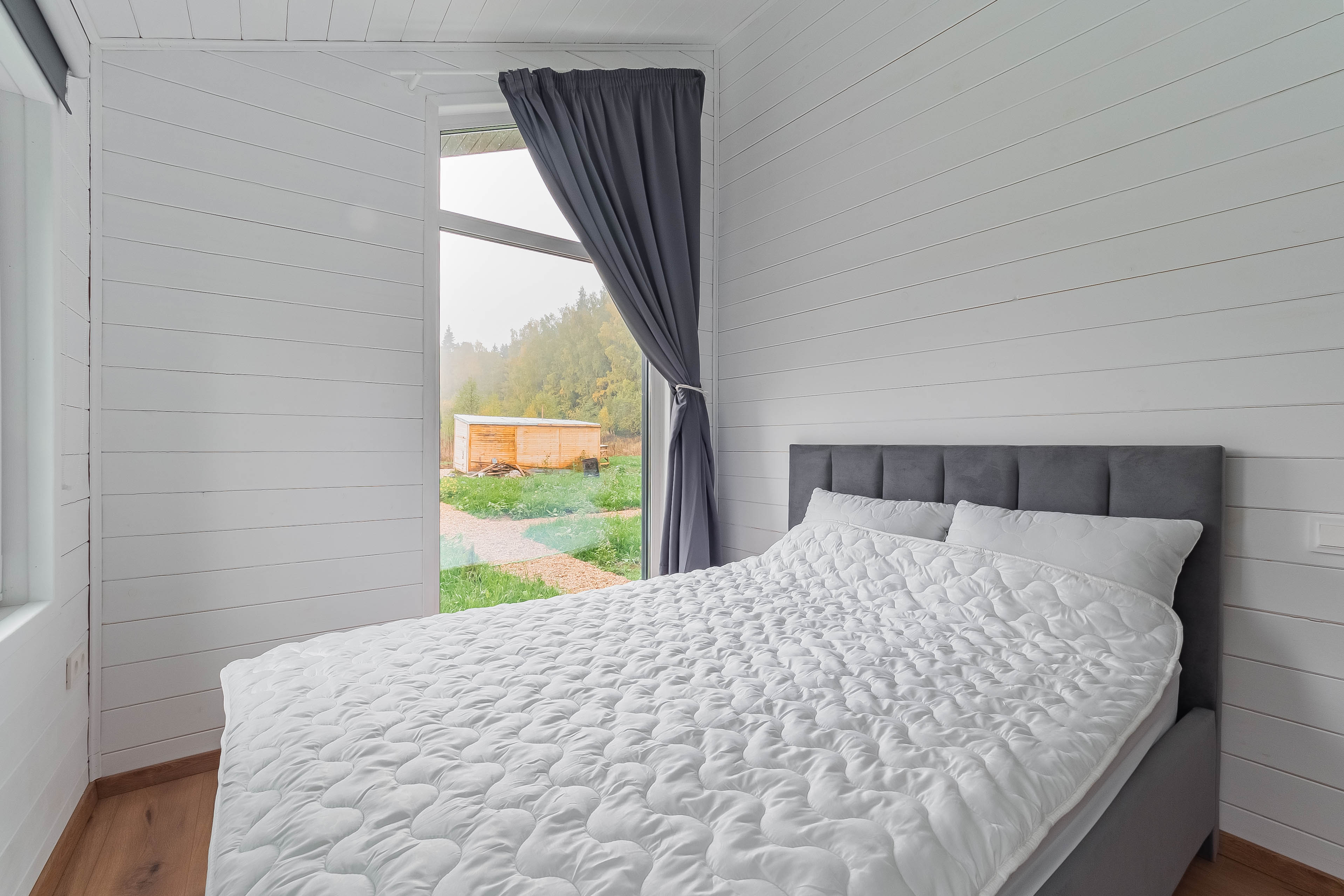 Фото Pine Forest