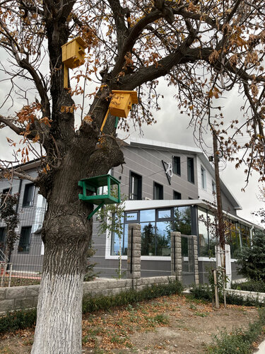 Гостиница 78 Cafe в Караколе
