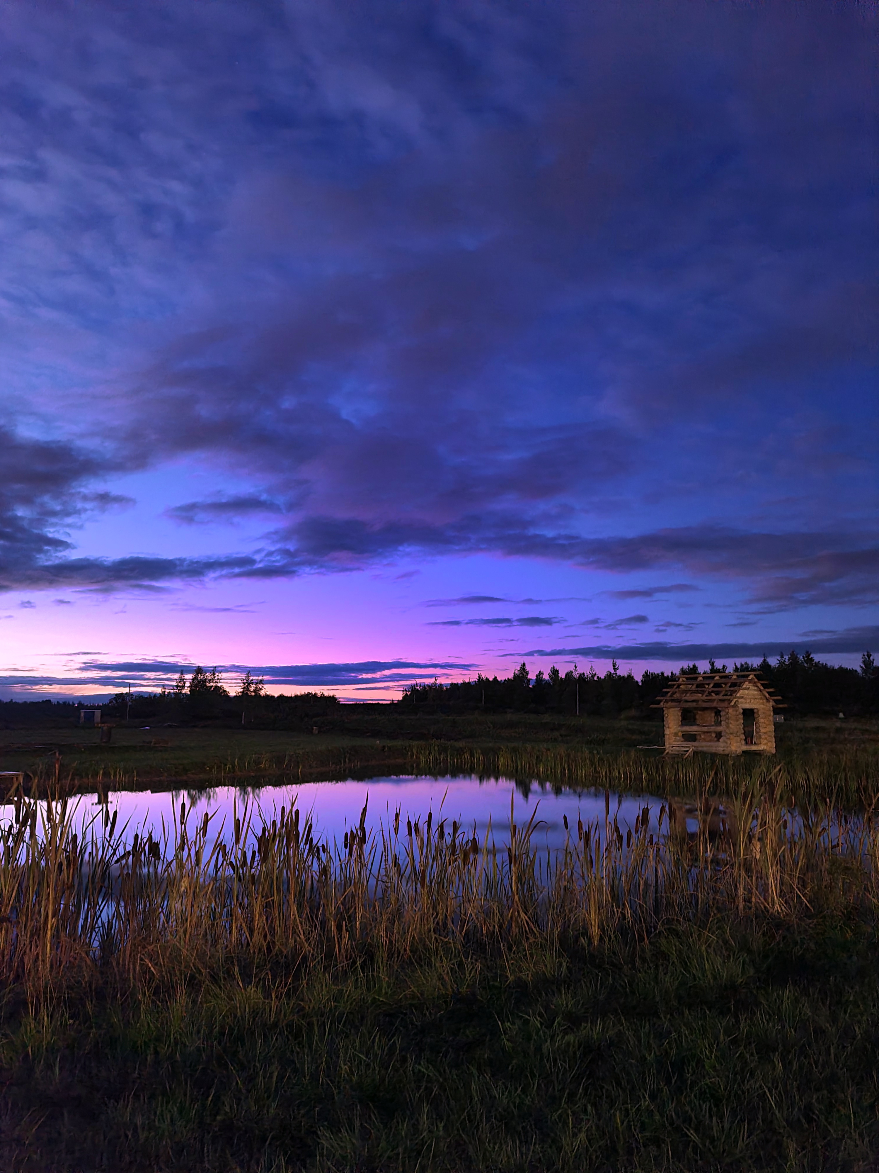 Фото Лисицкий парк