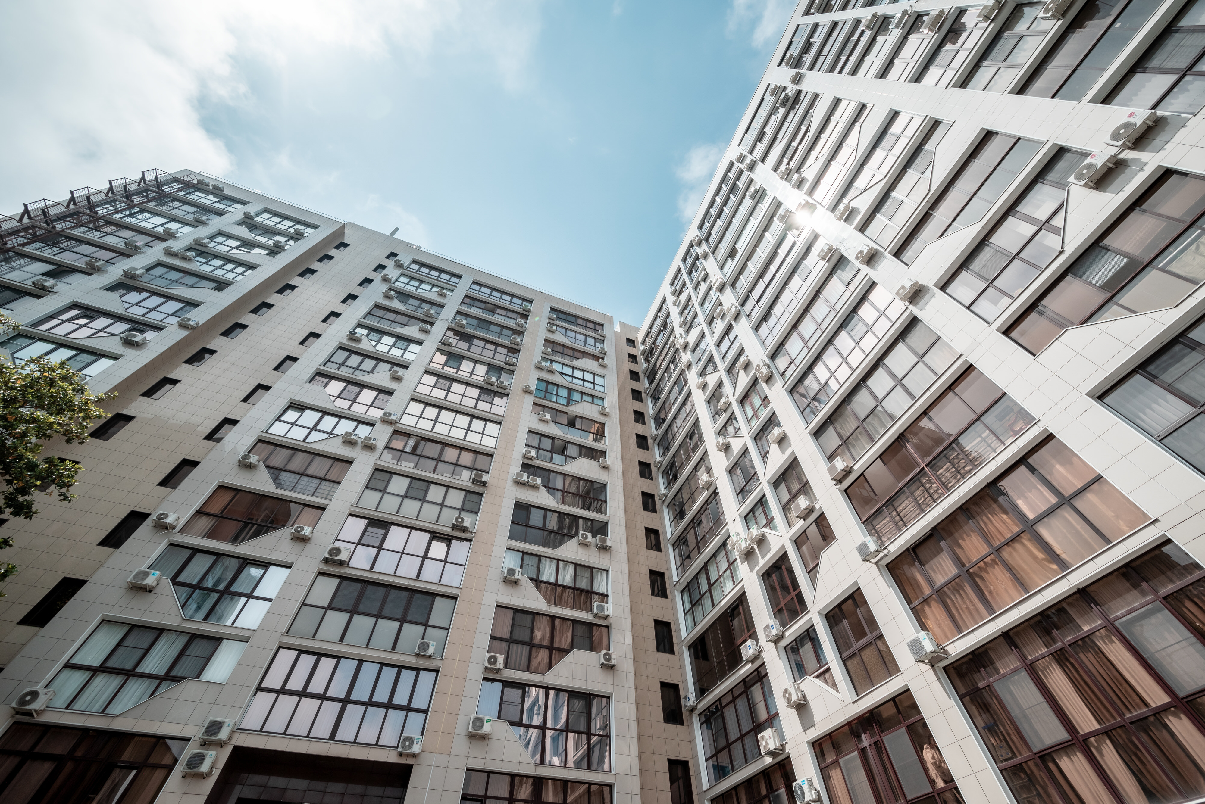 Фото Мангостин