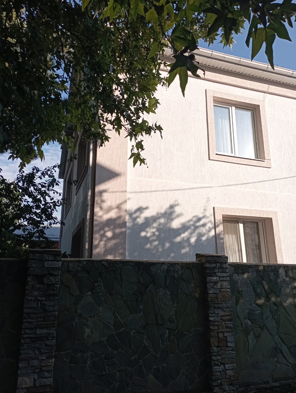 Фото Абрикос