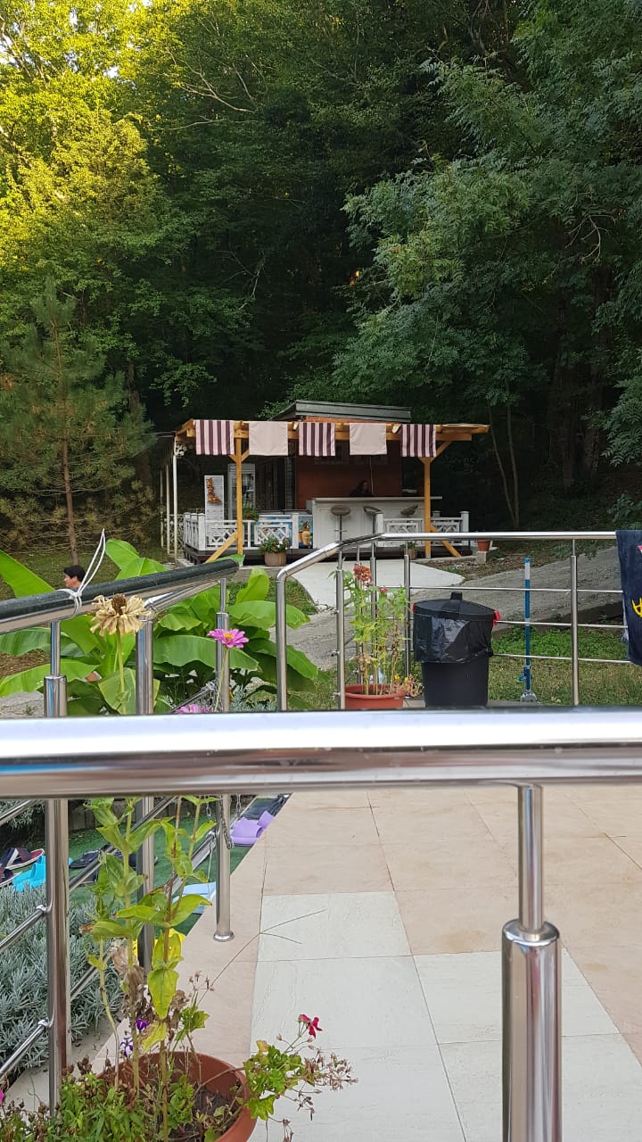 Фото Примула