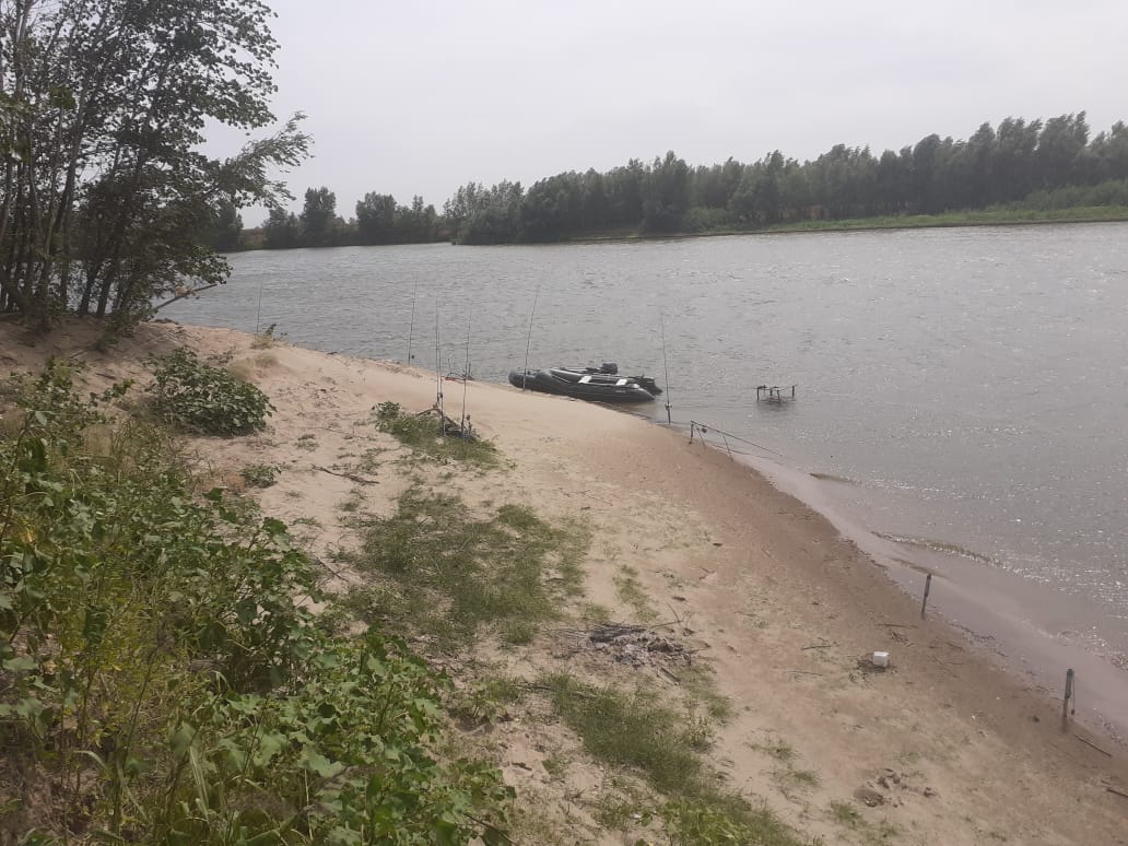 Фото База Звезда