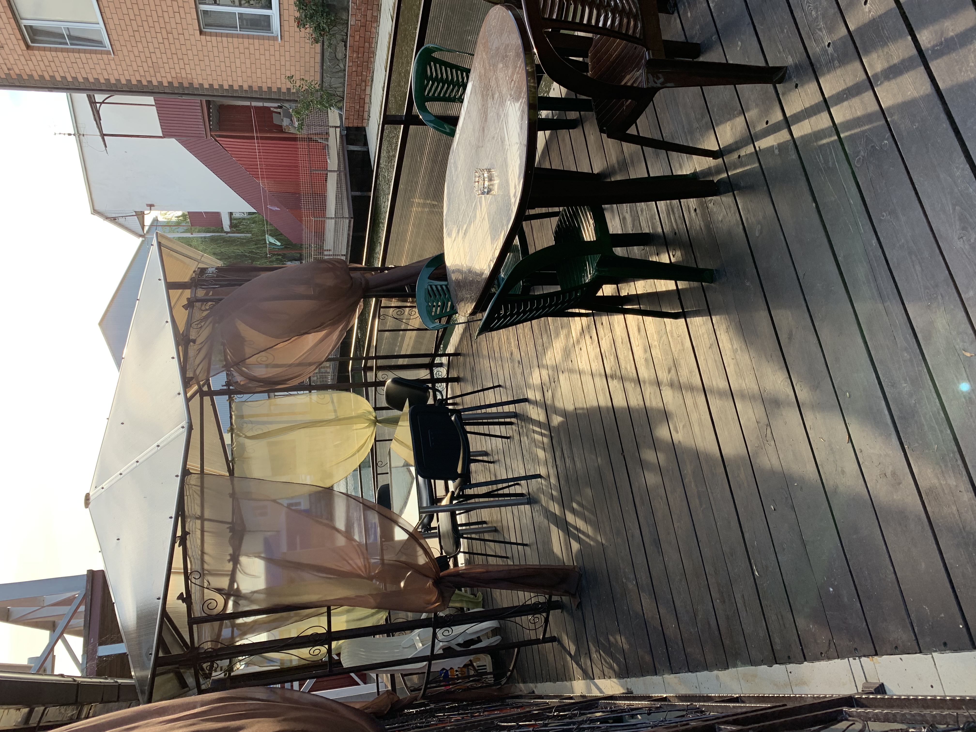 Фото Магнолия