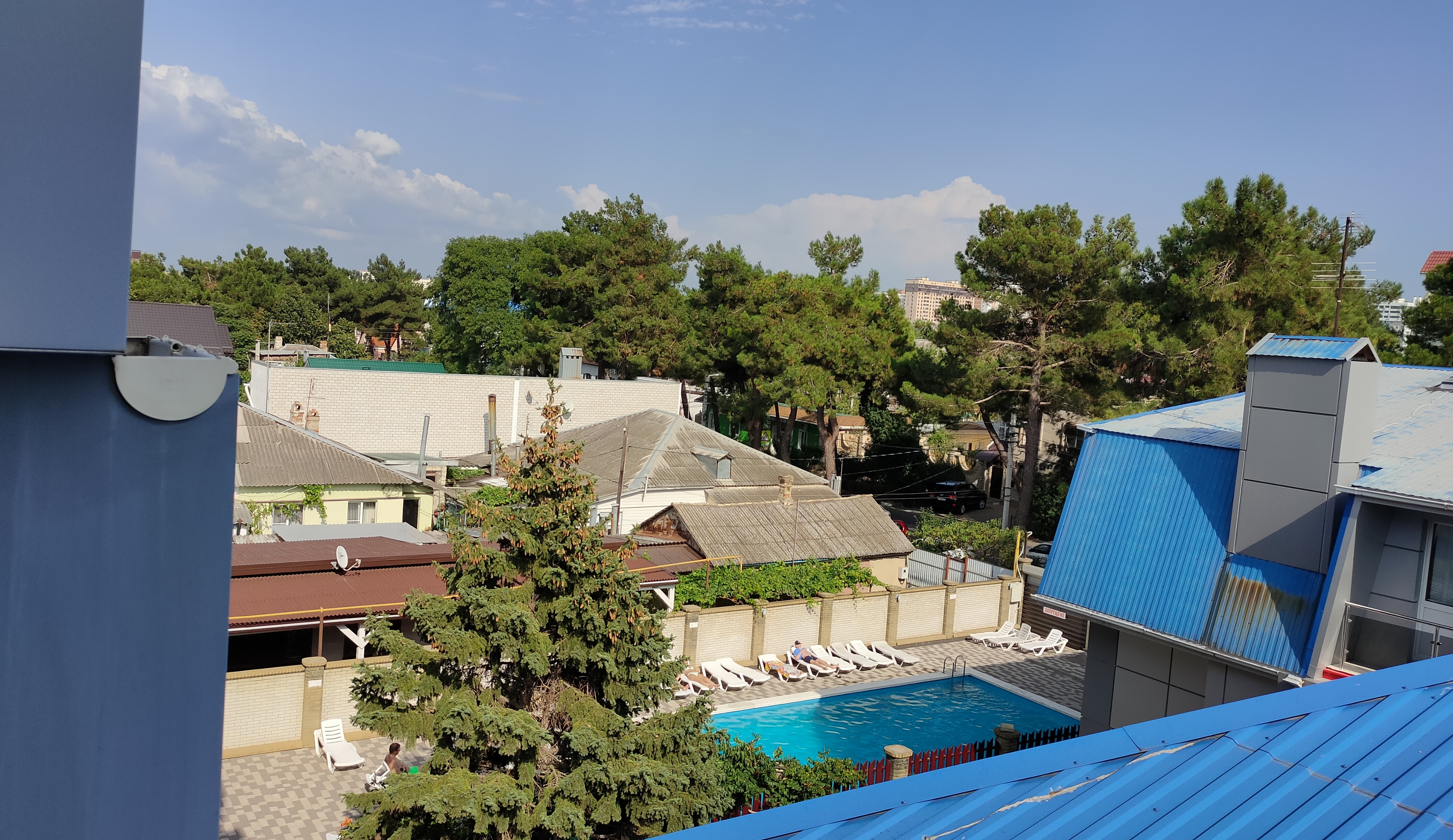 Фото Тополь