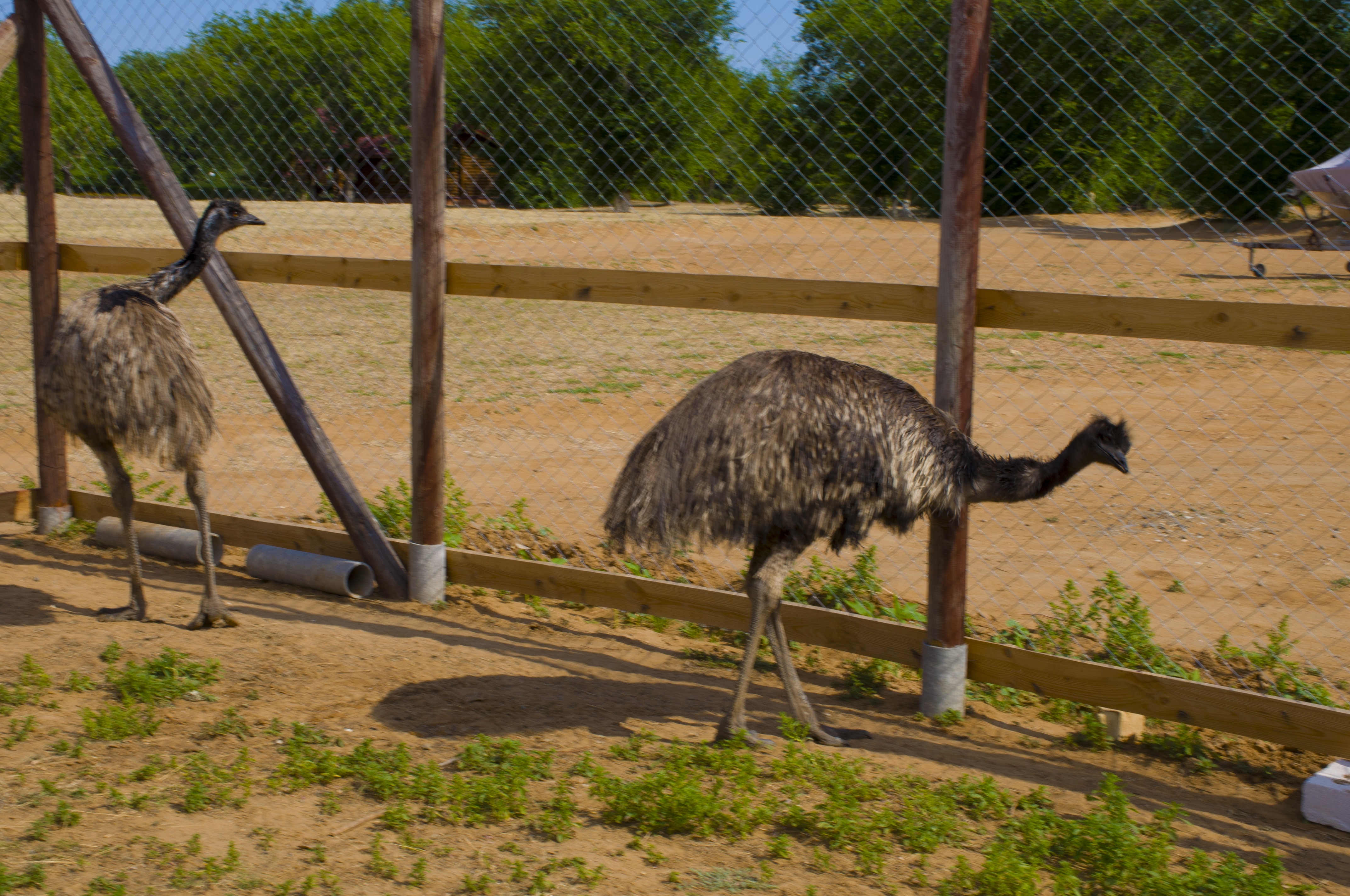 Фото Рыбацкая деревня