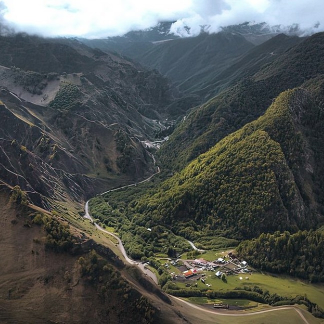 Фото Альпака