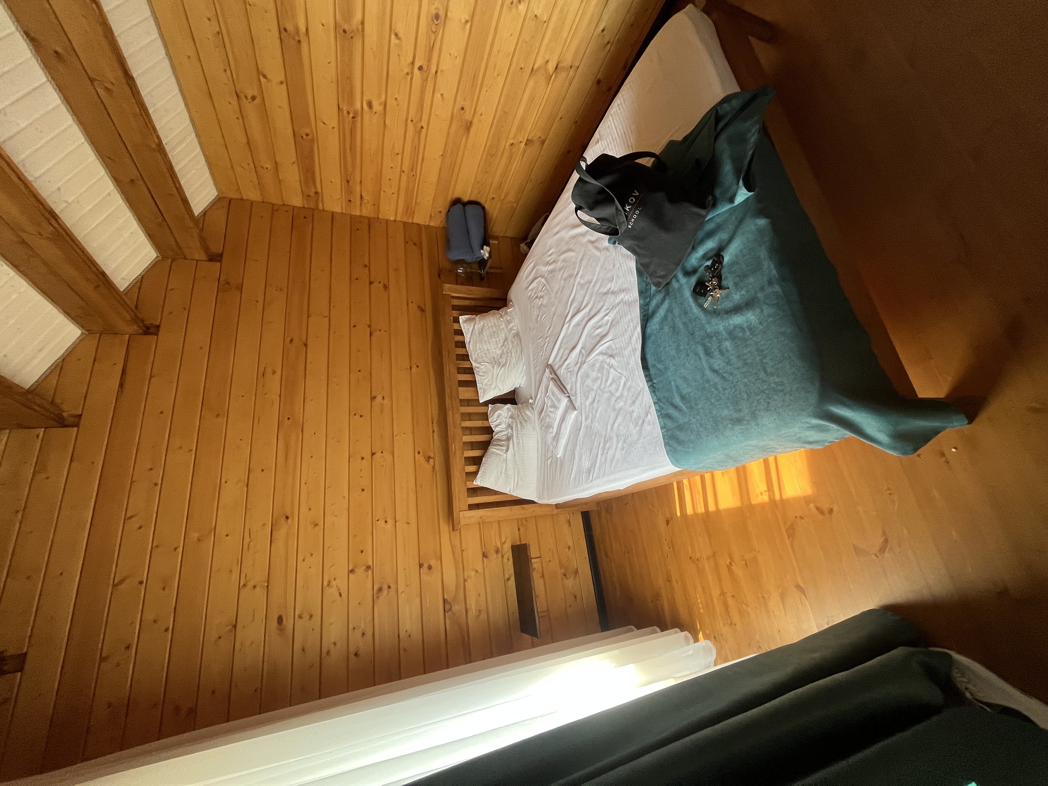 Фото Кактус