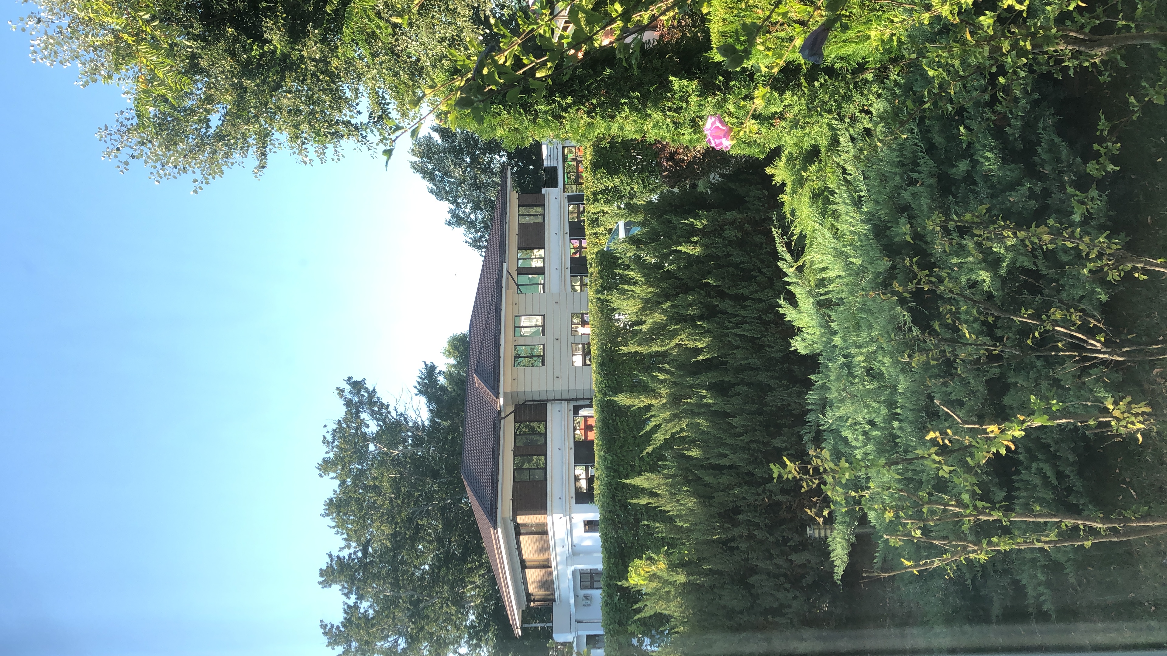 Фото Дюны Золотые