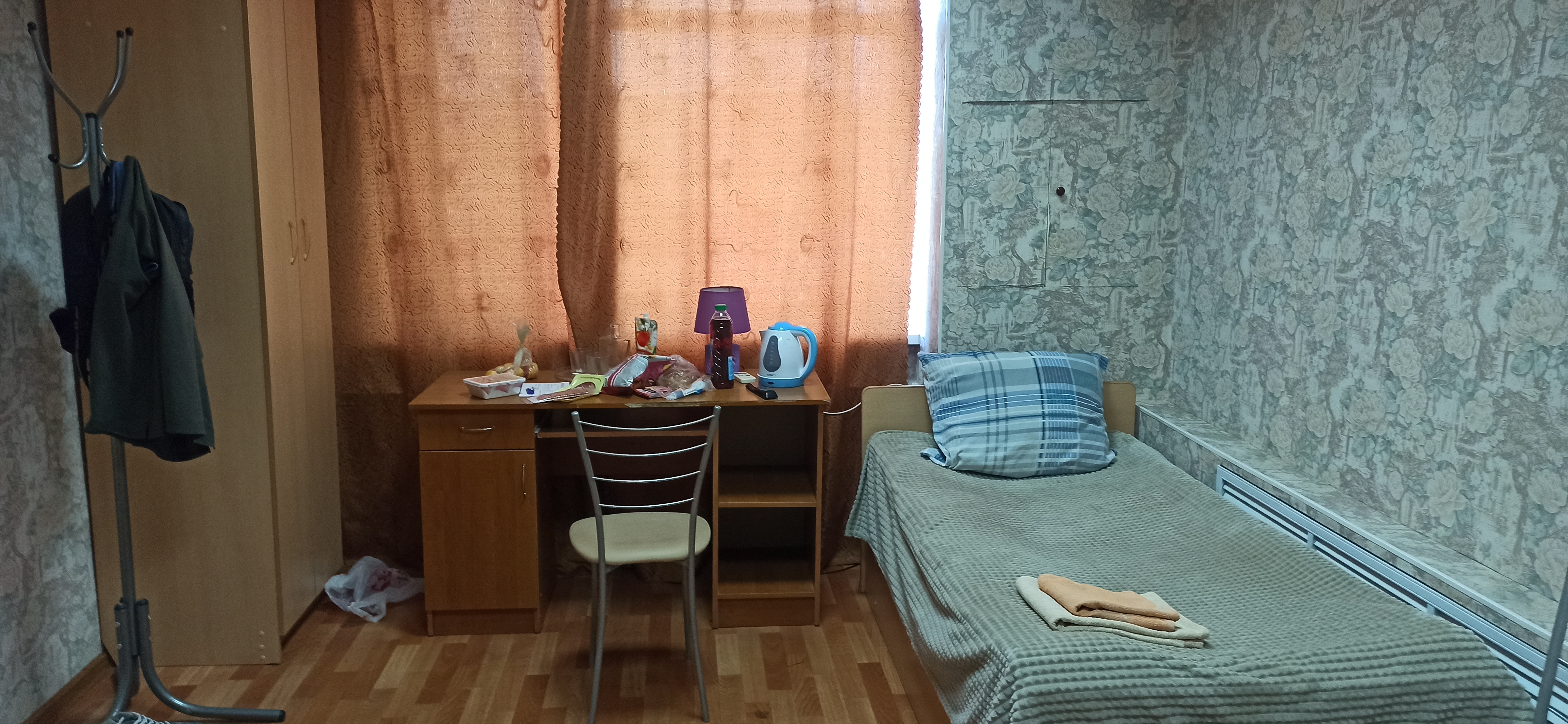 Фото Ромашка