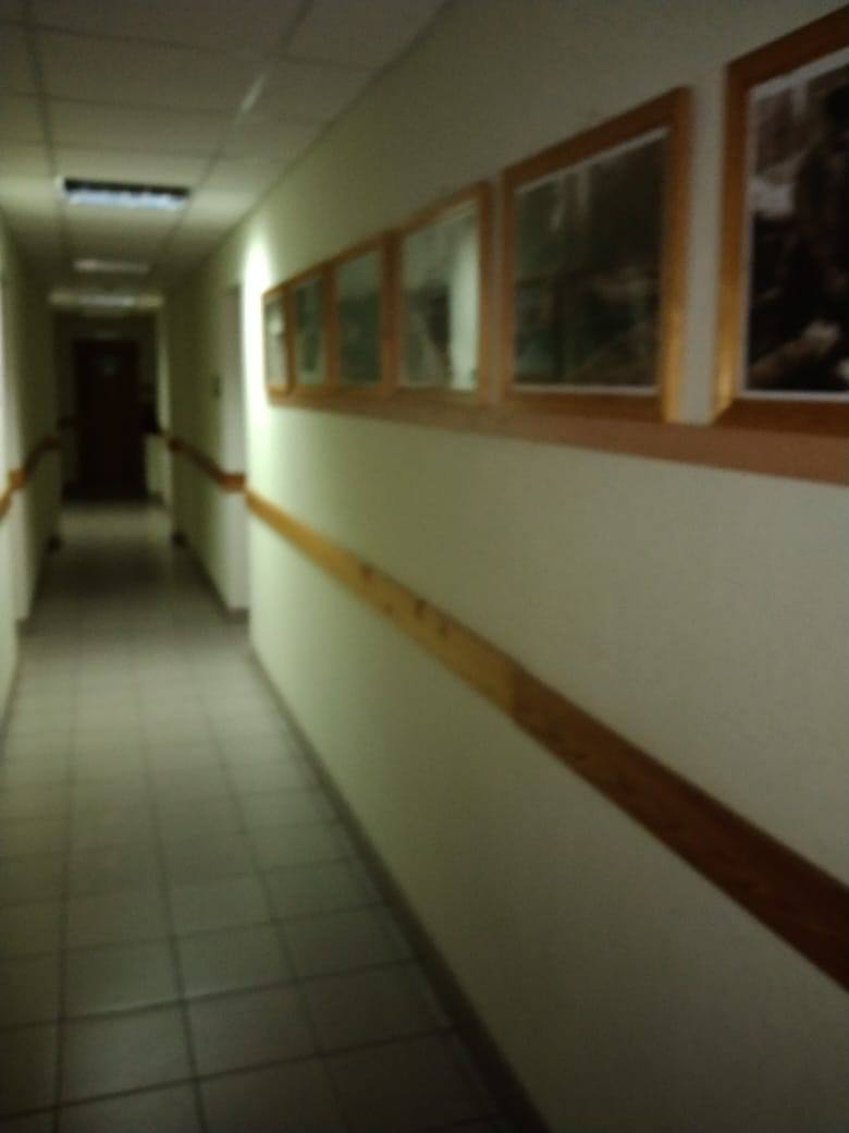 Фото Лесная