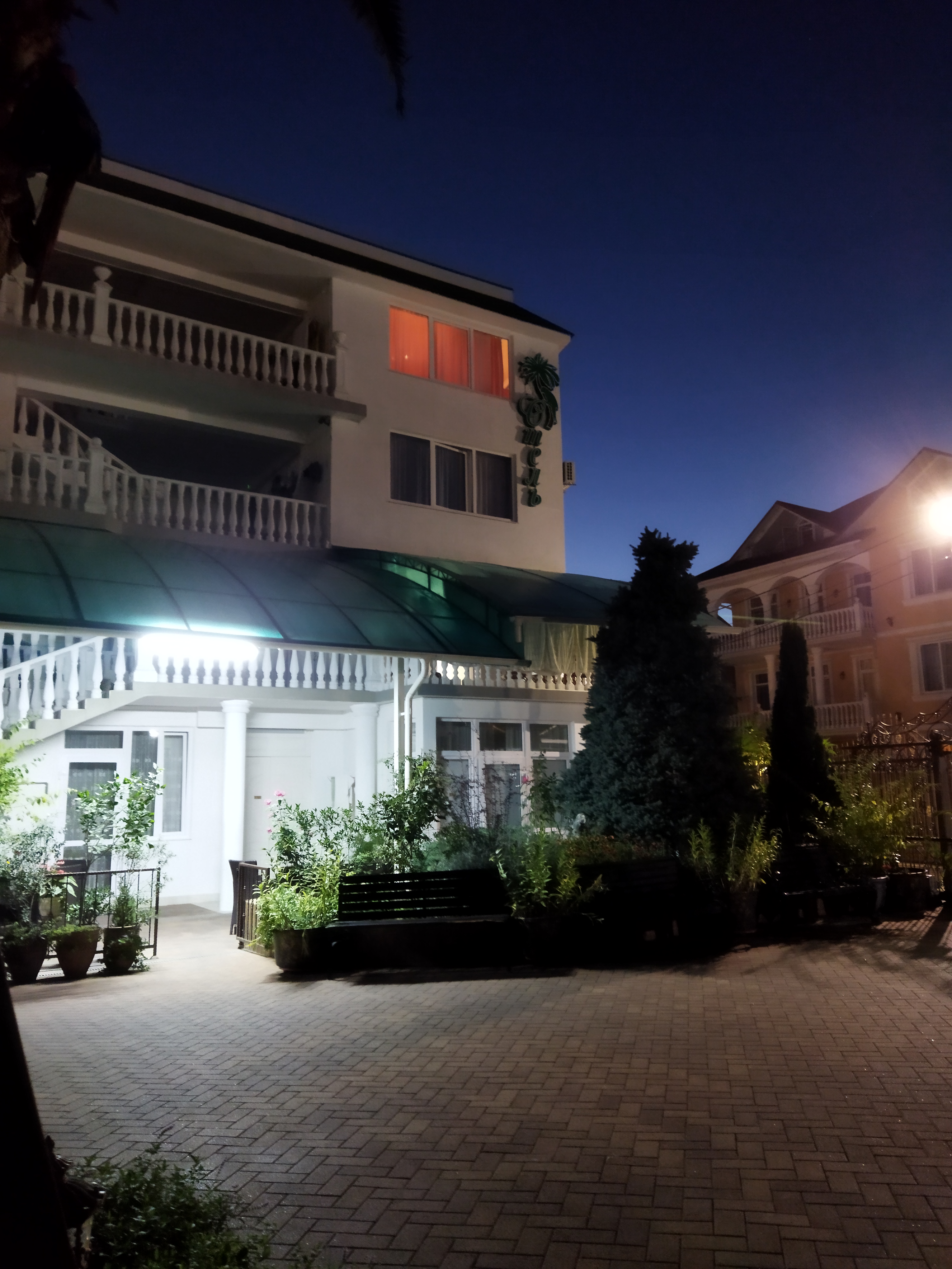 Фото Зелёный попугай