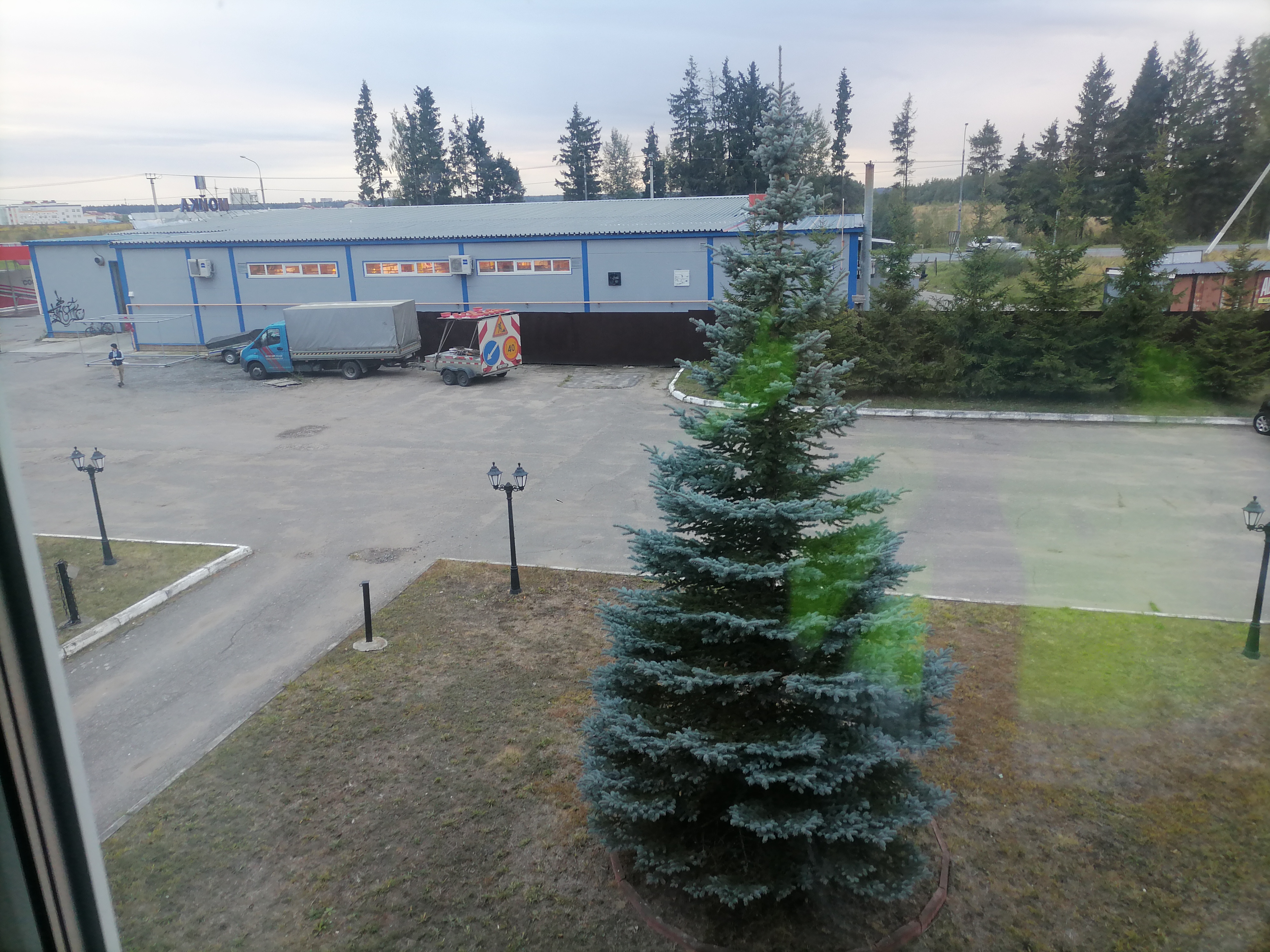 Фото Три льва