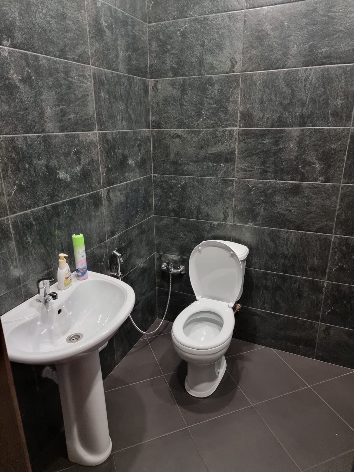 Фото Дом у пруда