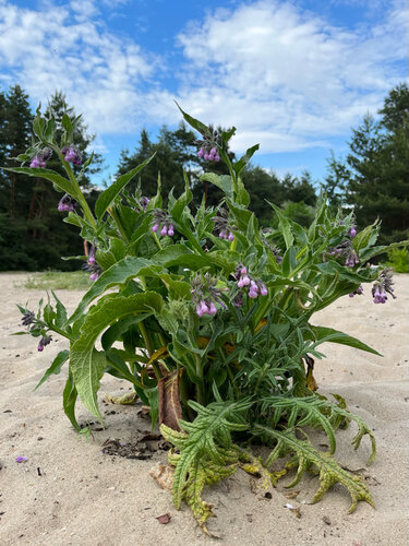 Холли Берри бейнеленген порно