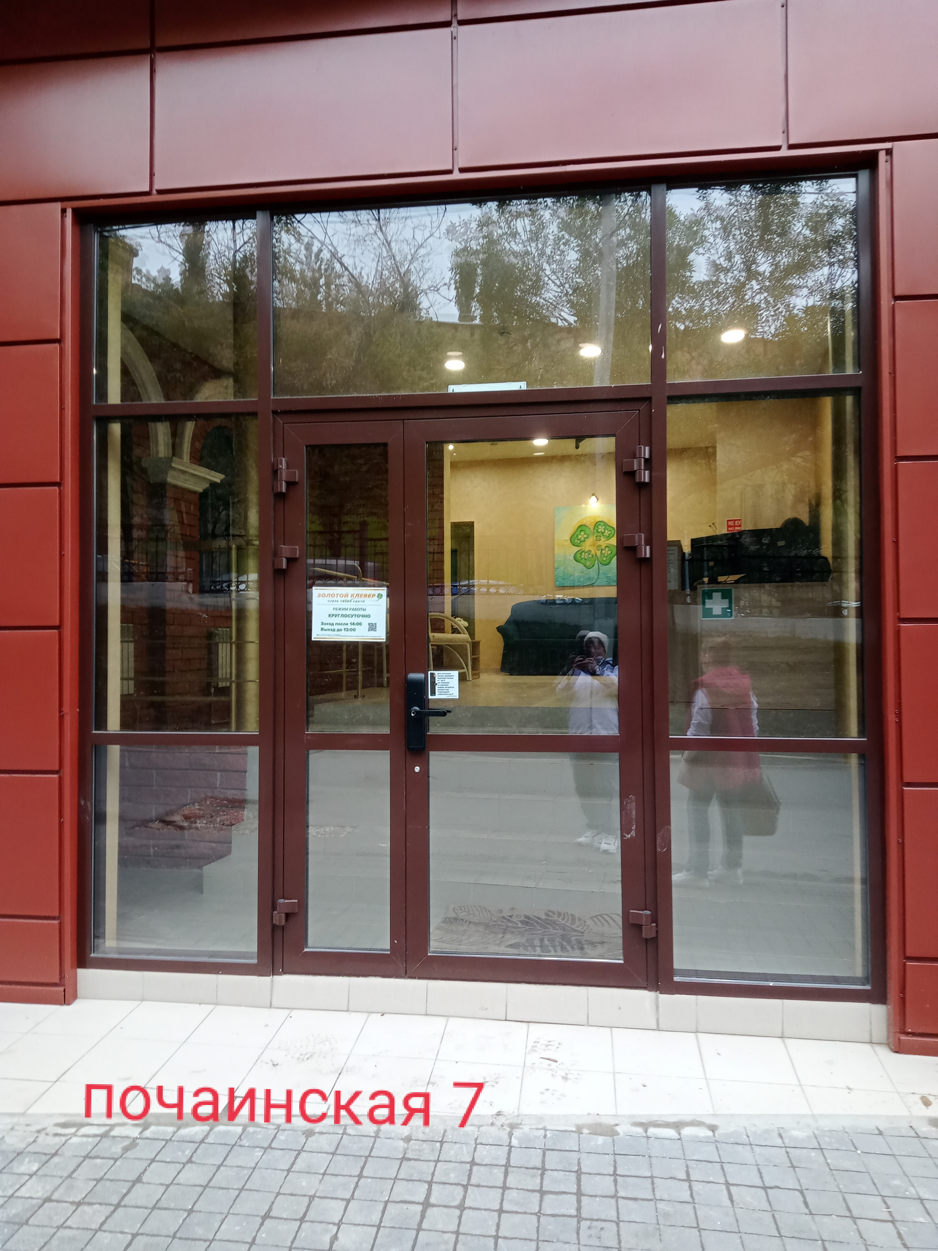 Фото Золотой Клевер