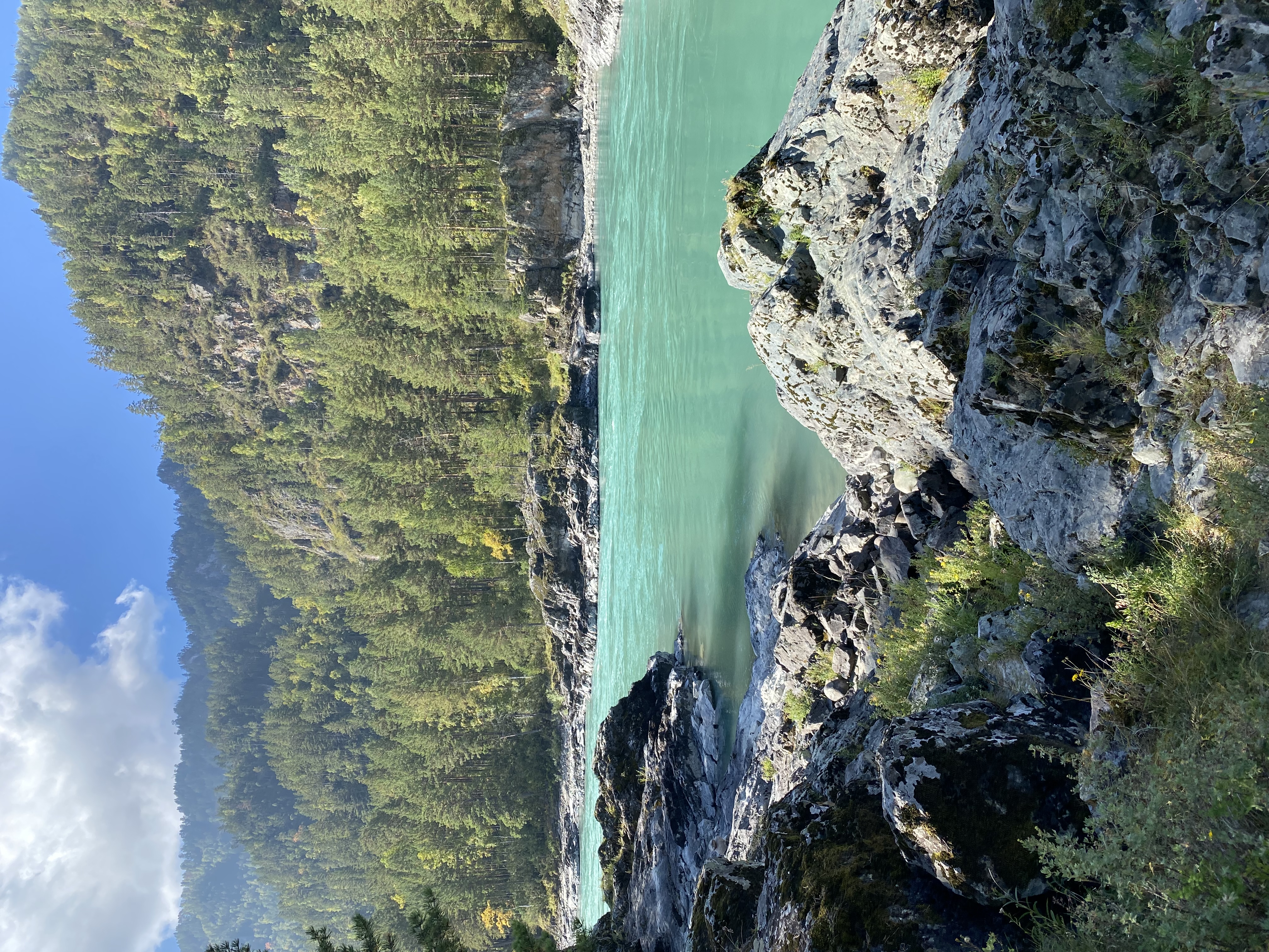 Фото Кедровый остров