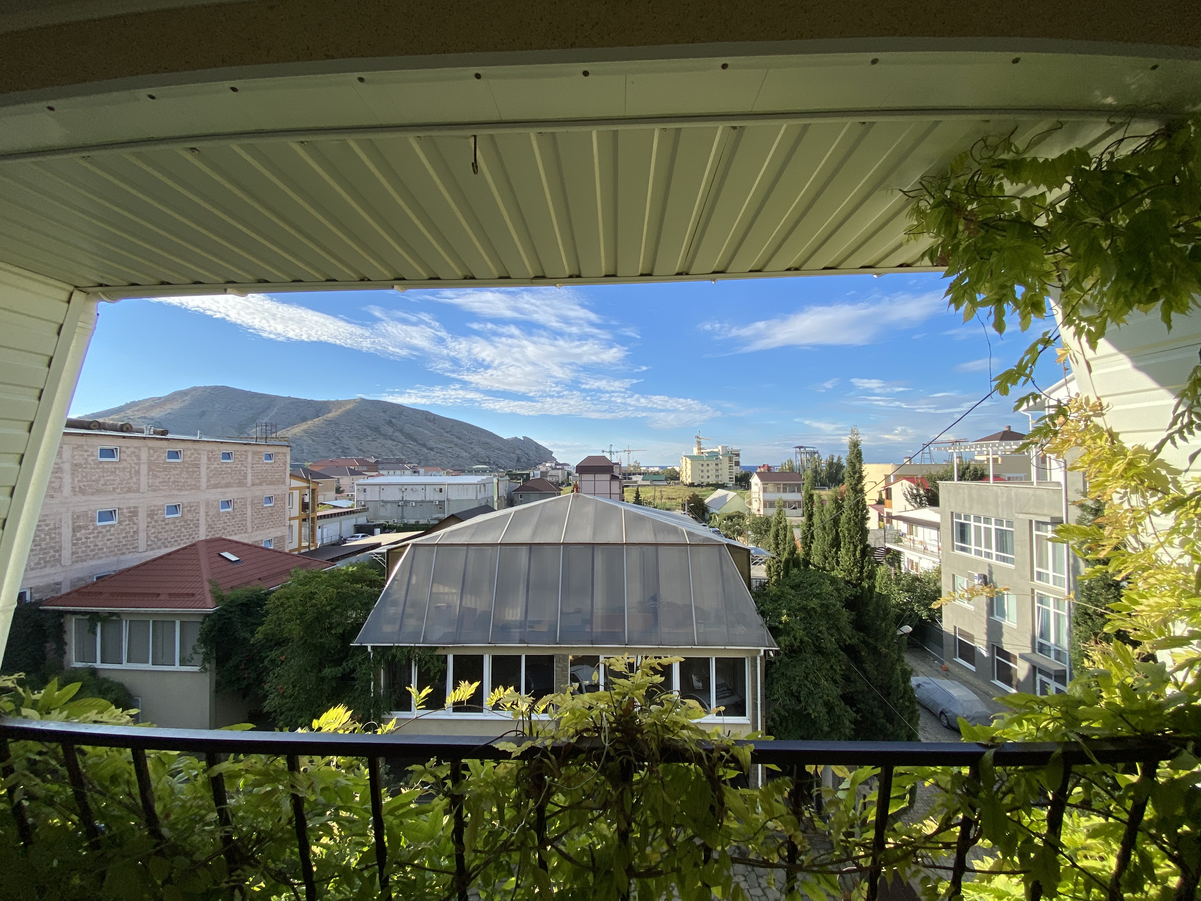 Фото Альяна